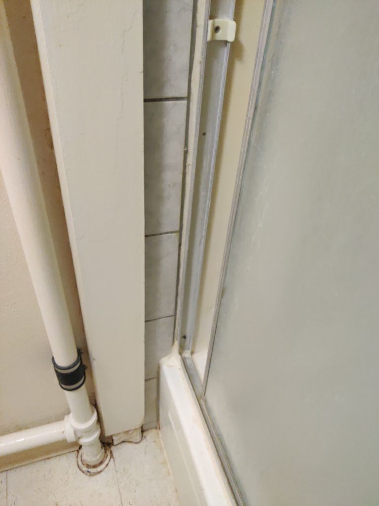 Mold Remediation in Basement by Accountable Home Services