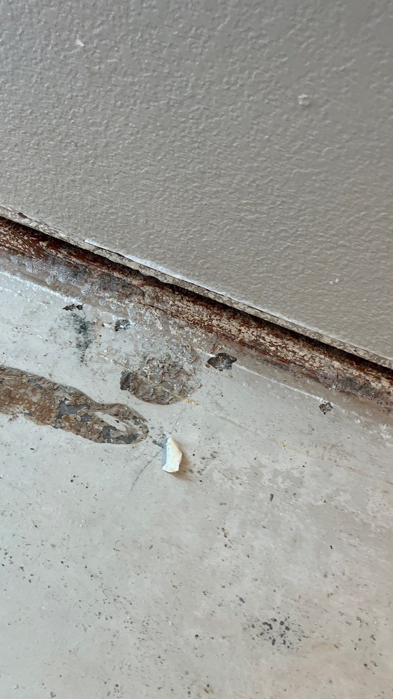 Mold Remediation  by Accountable Home Services