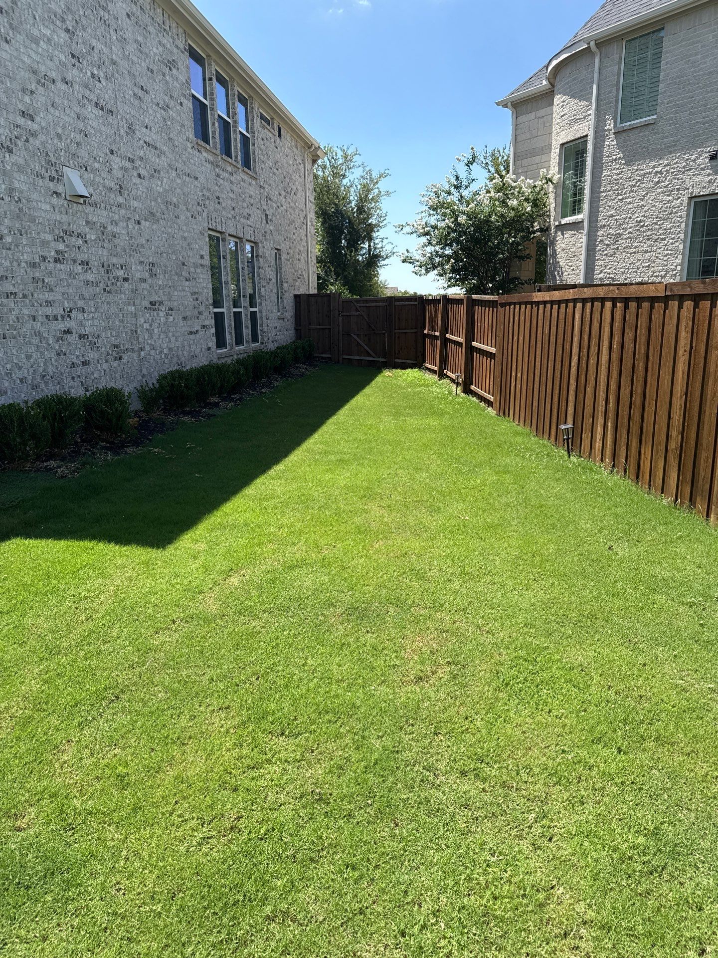 Project in Prosper by Turf Concepts