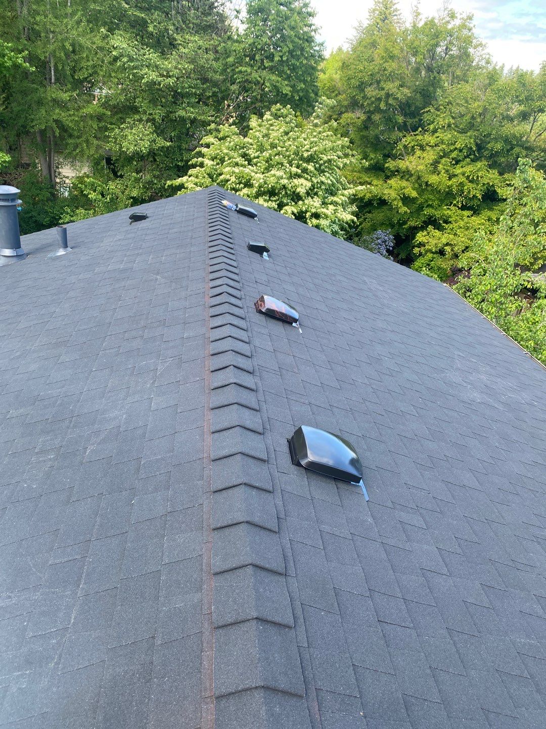 Onyx Black Shingles by Reimagine Roofing