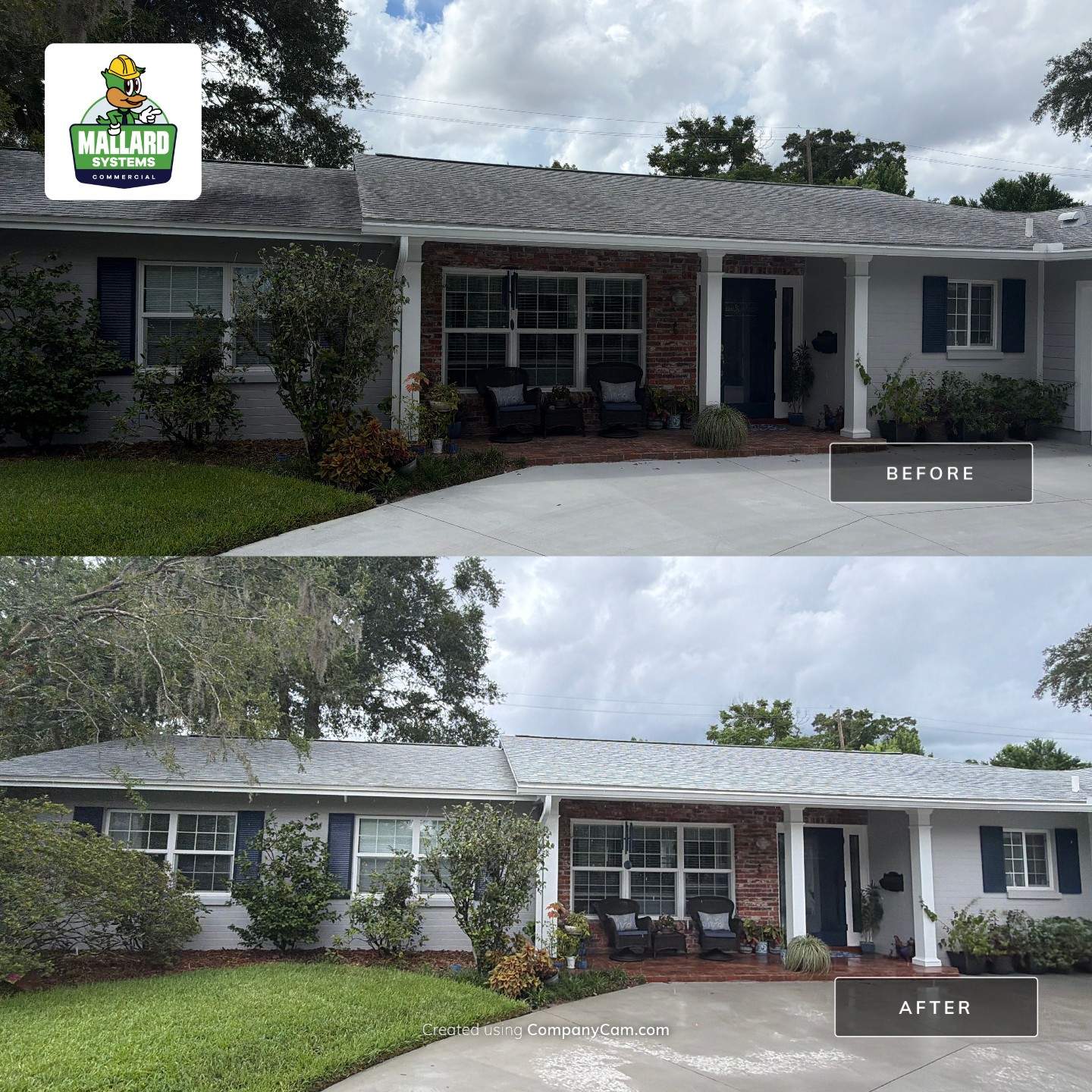 Residential Shingle Roof Cleaning and Exterior Refresh in Maitland by Mallard Systems