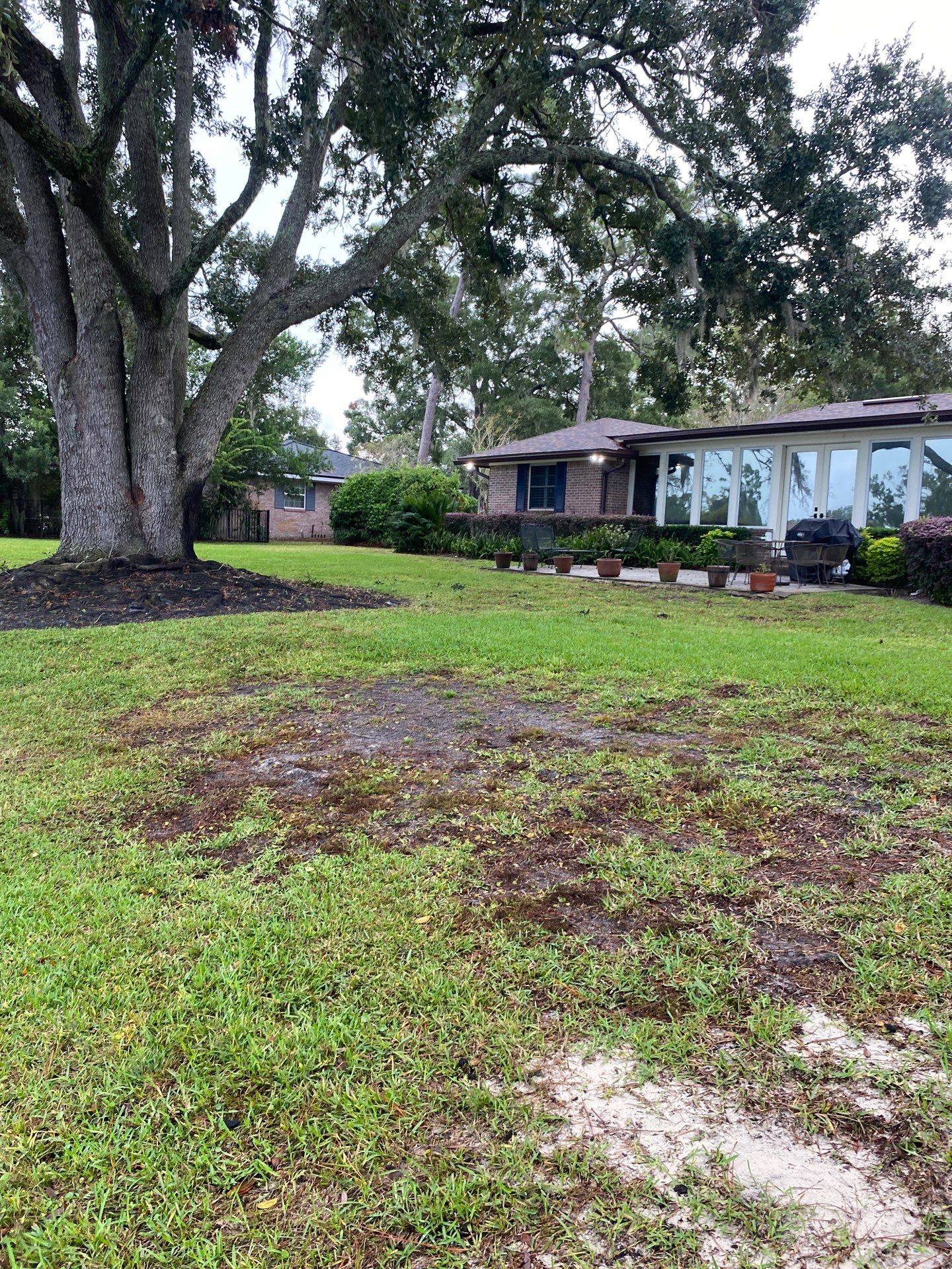 Deerwood Resident | Sod Replacement by ProGreen Services
