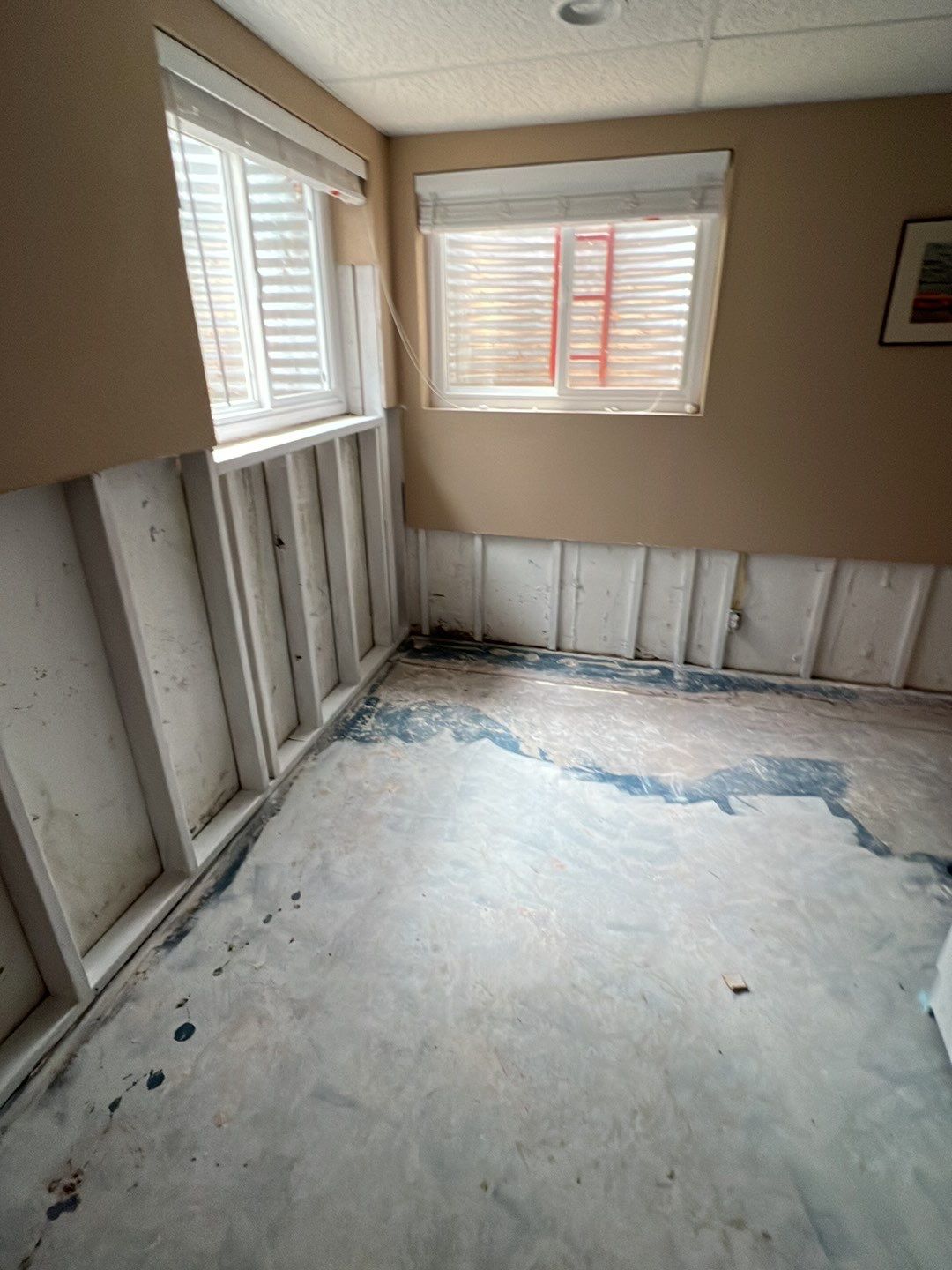 Mold Damage by Accountable Home Services