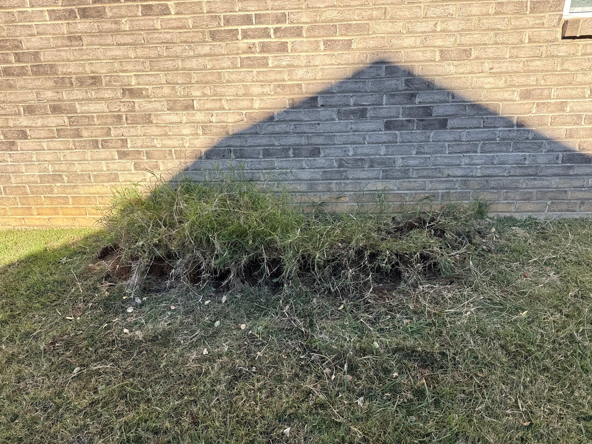 Project in Monroe by Badger Hauling