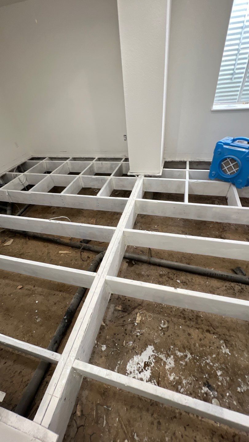 Mold Remediation by Accountable Home Services