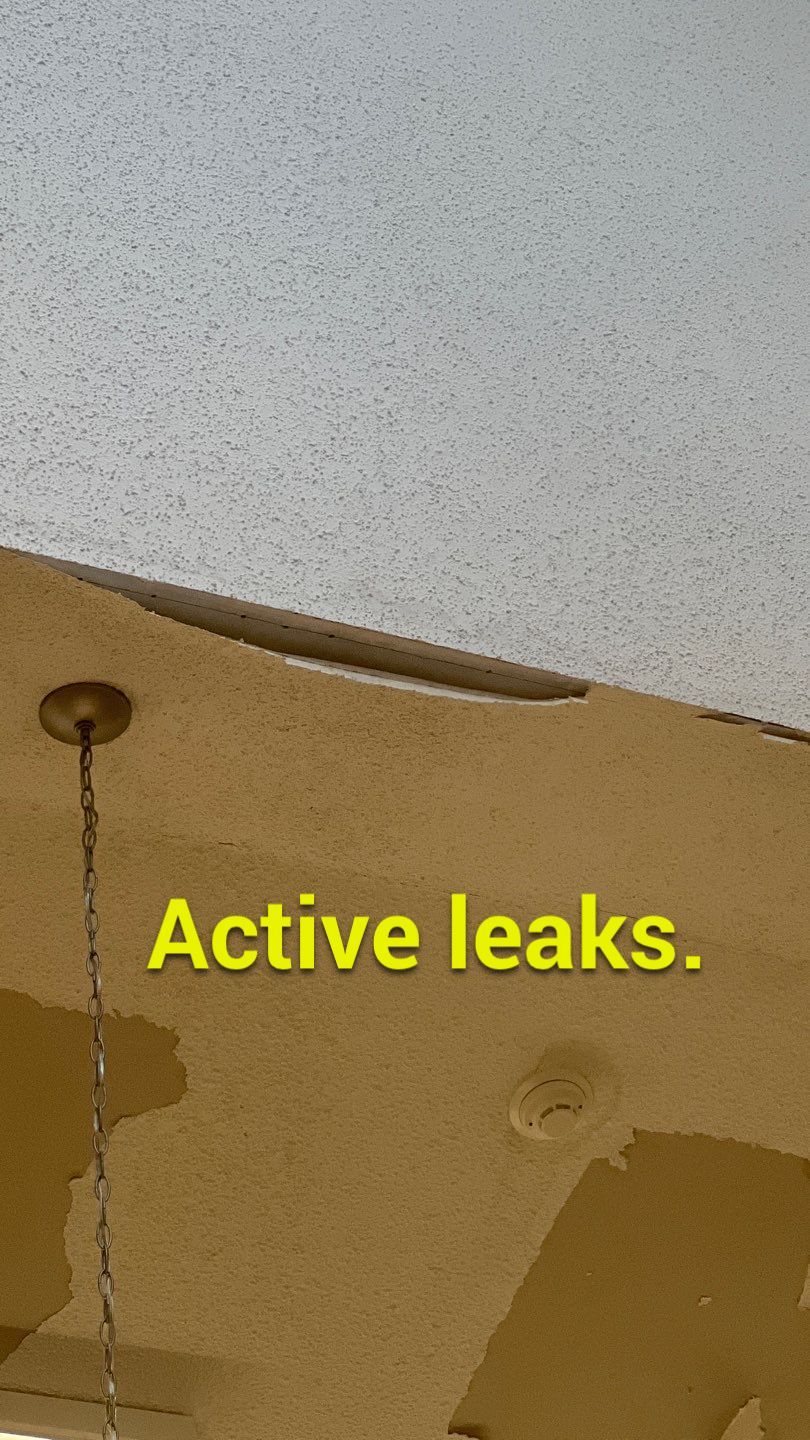 The Gardens of Rome by PC&D