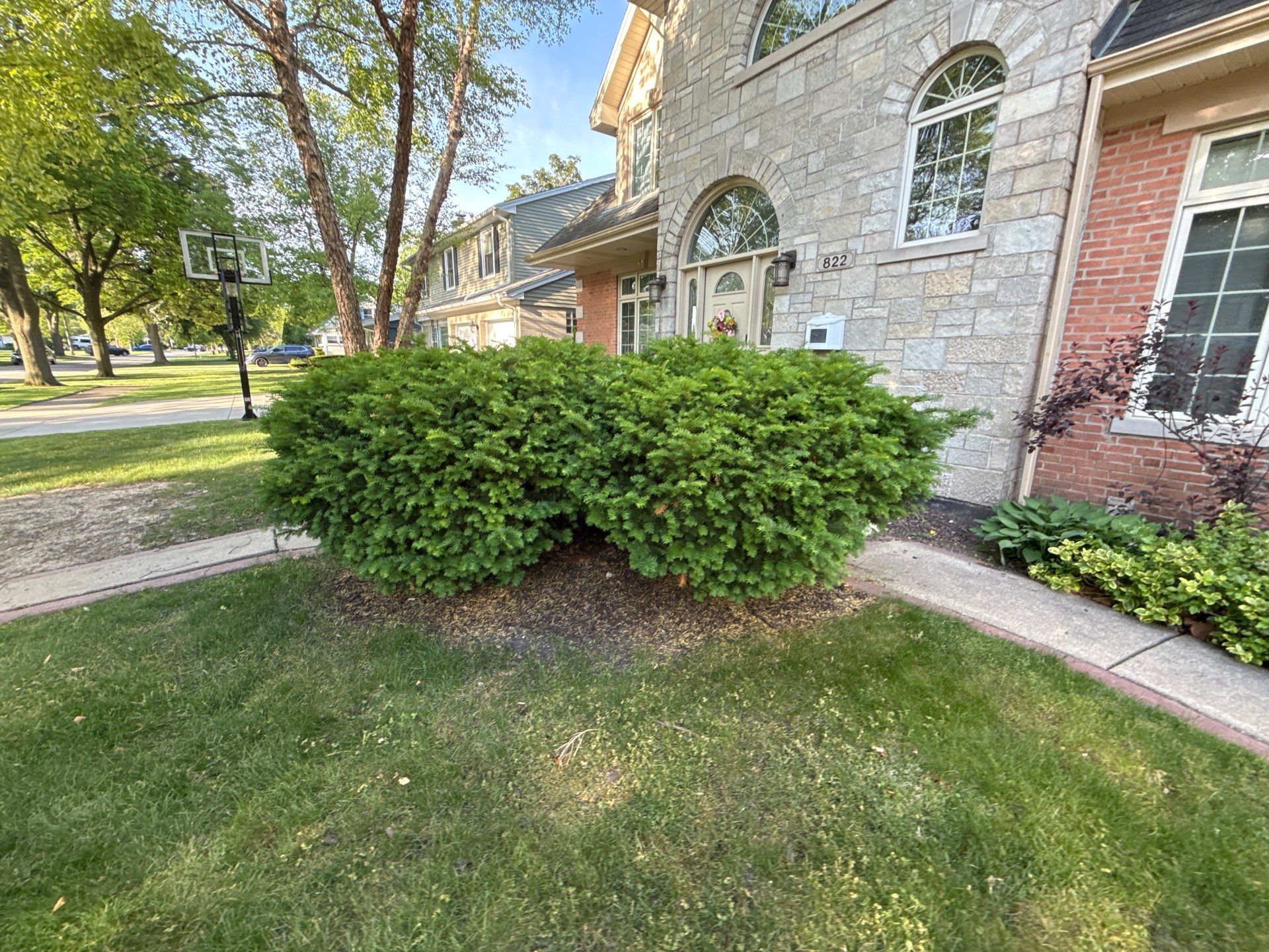 Bryan, F. - Arlington Heights, IL  by A&N 