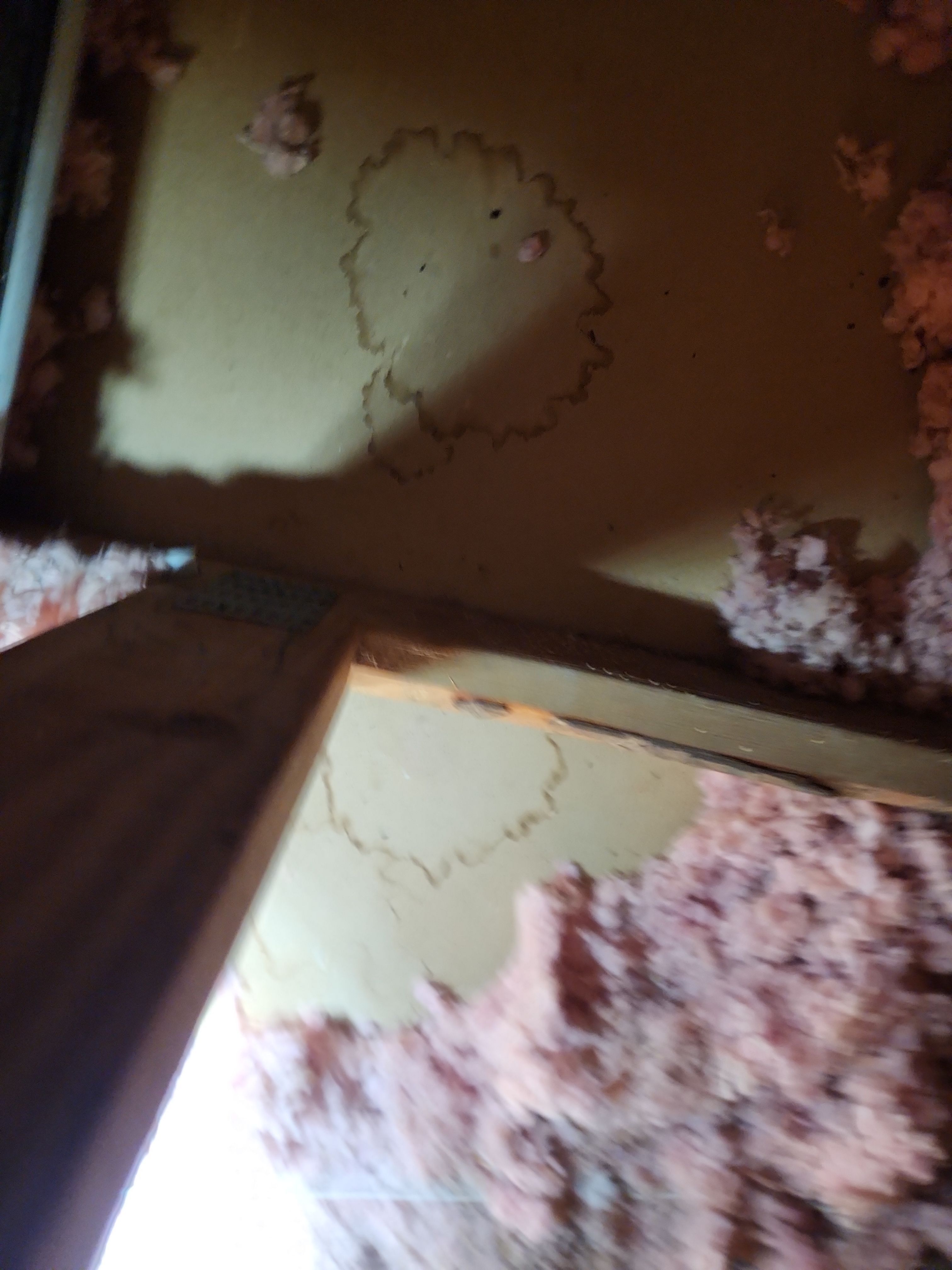 Clay Tile Roof Leak Repair and Sheathing Replacement in Hollywood by Aastro Roofing