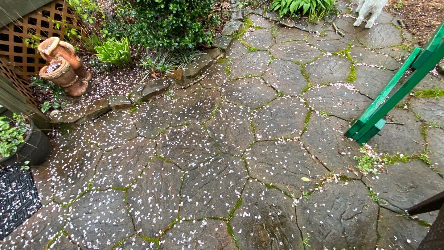 Stone using Concrete Sealant by DuraSeal