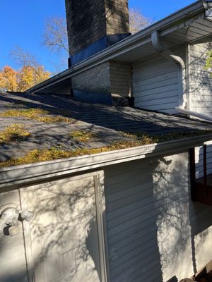 Turtle Shell gutter protection installation in Lisle, IL 60532, photograph 2