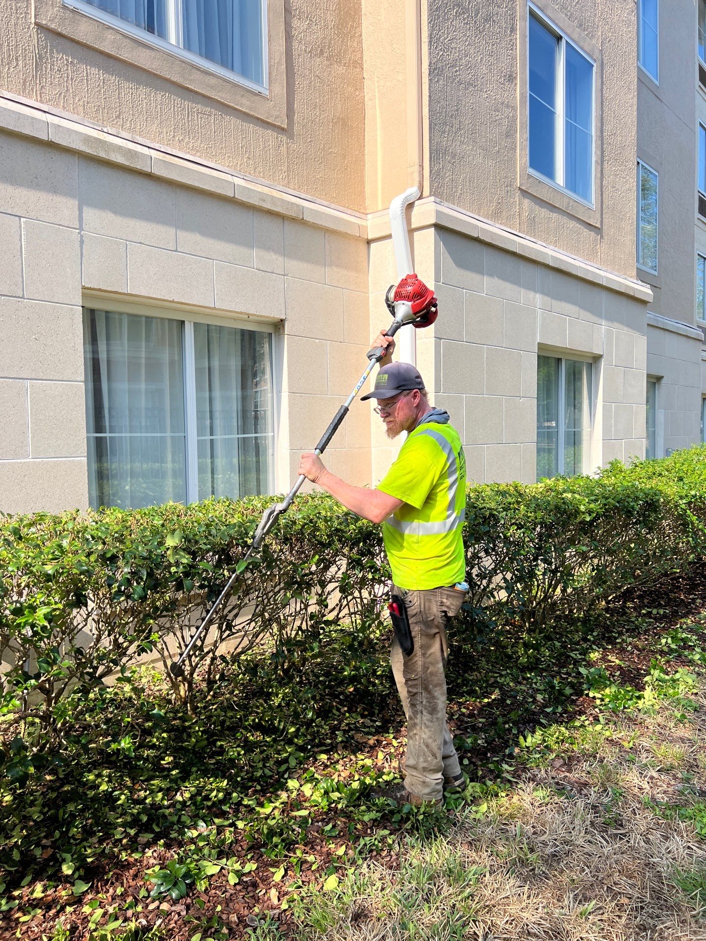 Homewood Suites | Tree Service by ProGreen Services