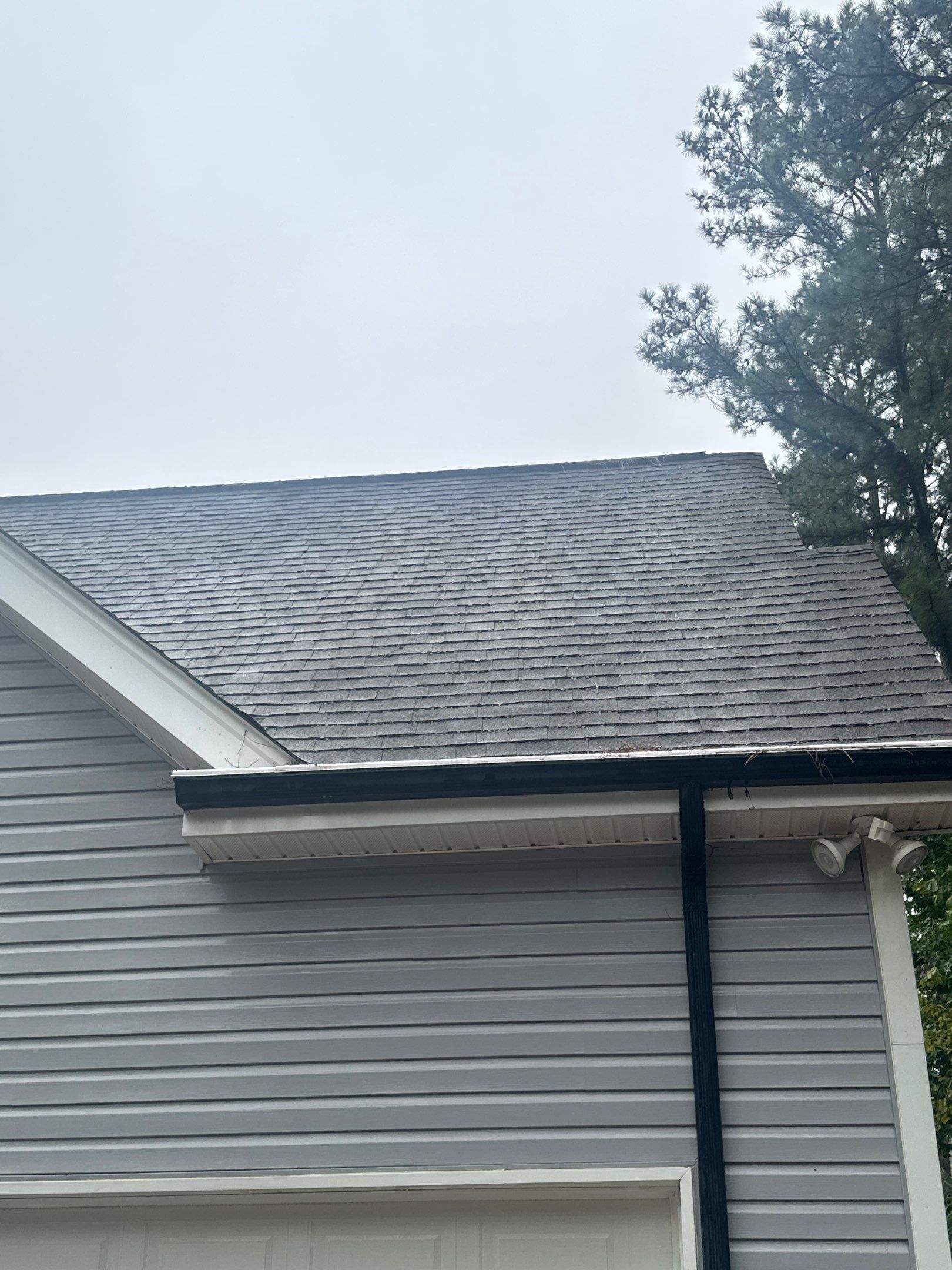 the service involves cleaning the roof and siding to remove dirt and debris for improved appearance and maintenance