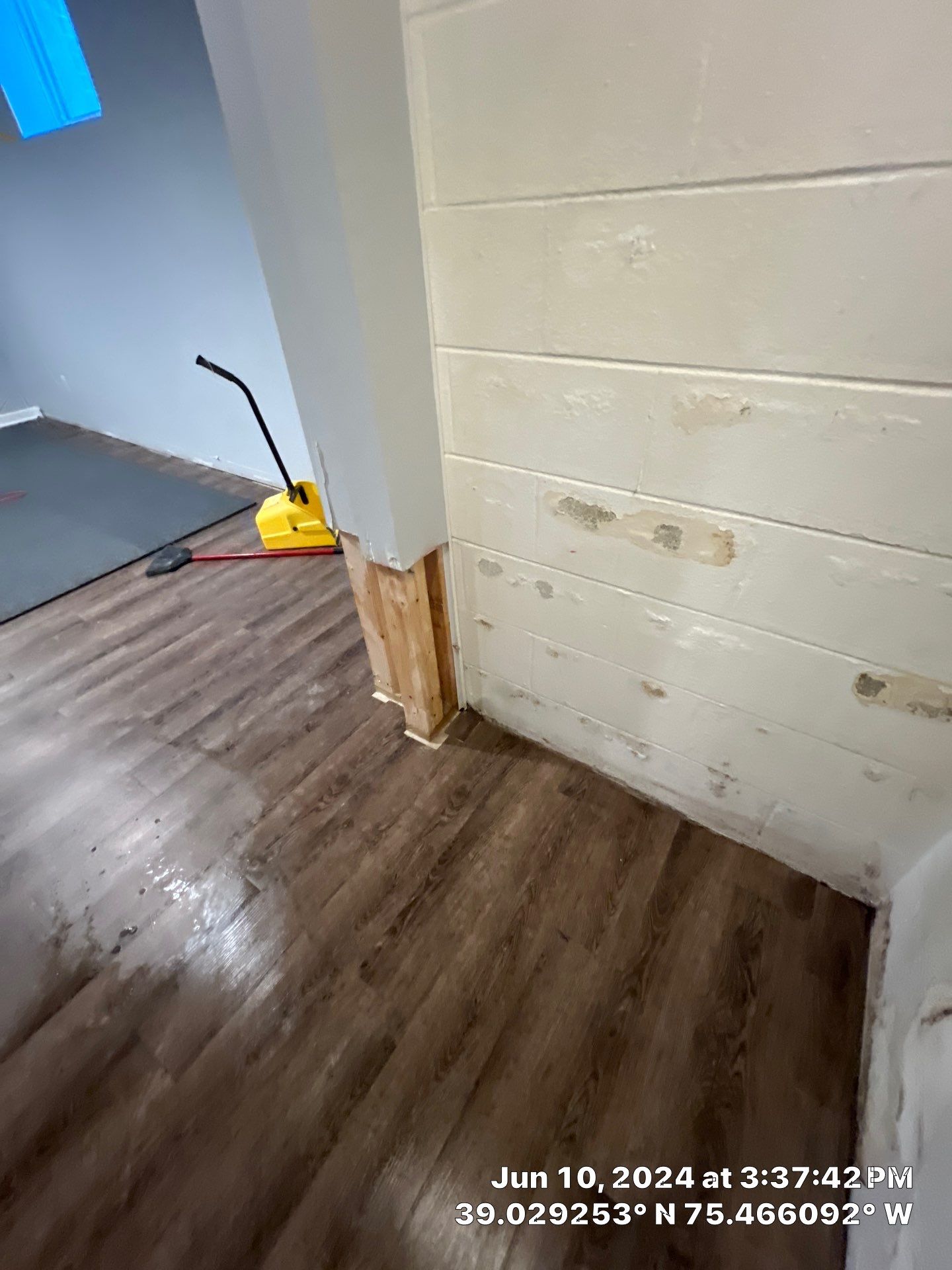 Basement Mold Remediation by Healthy Home Solutions