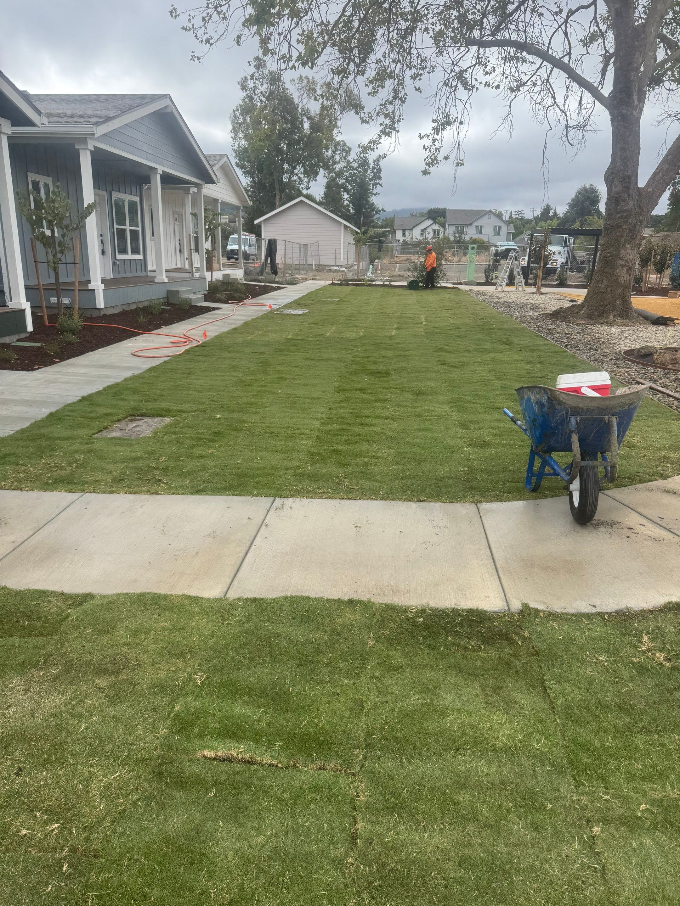 Project in Santa Rosa by A - G Sod Farms