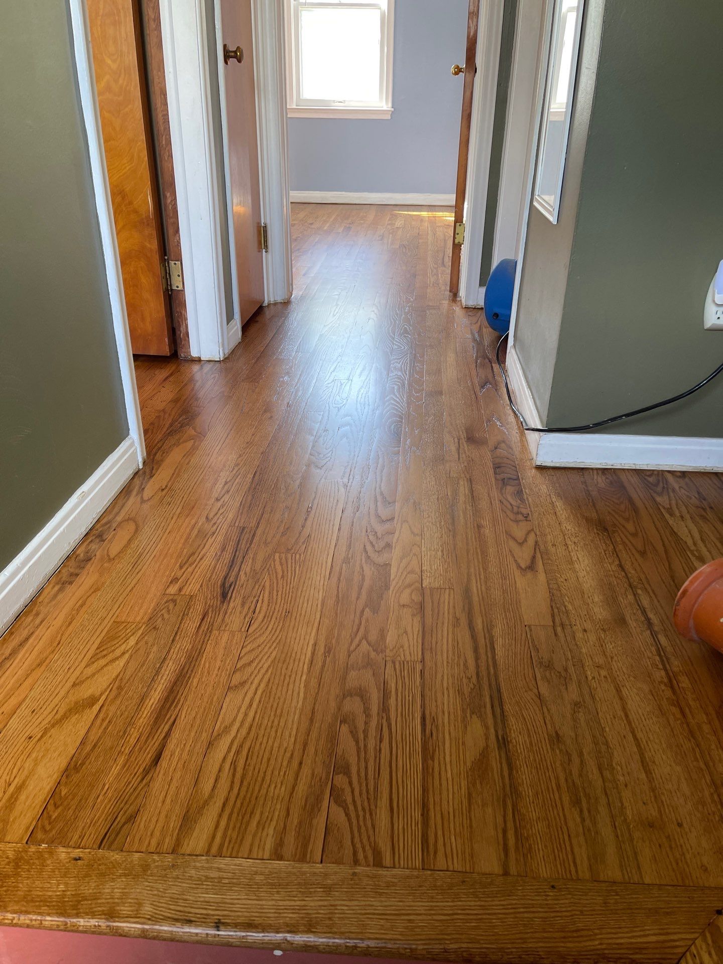 Hardwood flooring sanding using 2 1/4" Red oak flooring Golden Oak Stain by Ann Arbor Hardwoods