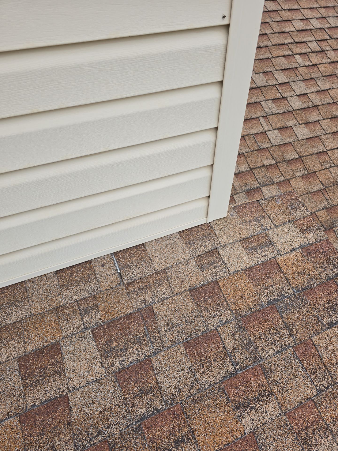 Lee Boy by Omnia Roofing