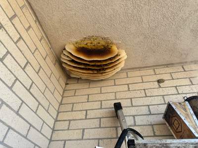 Business Center Entry