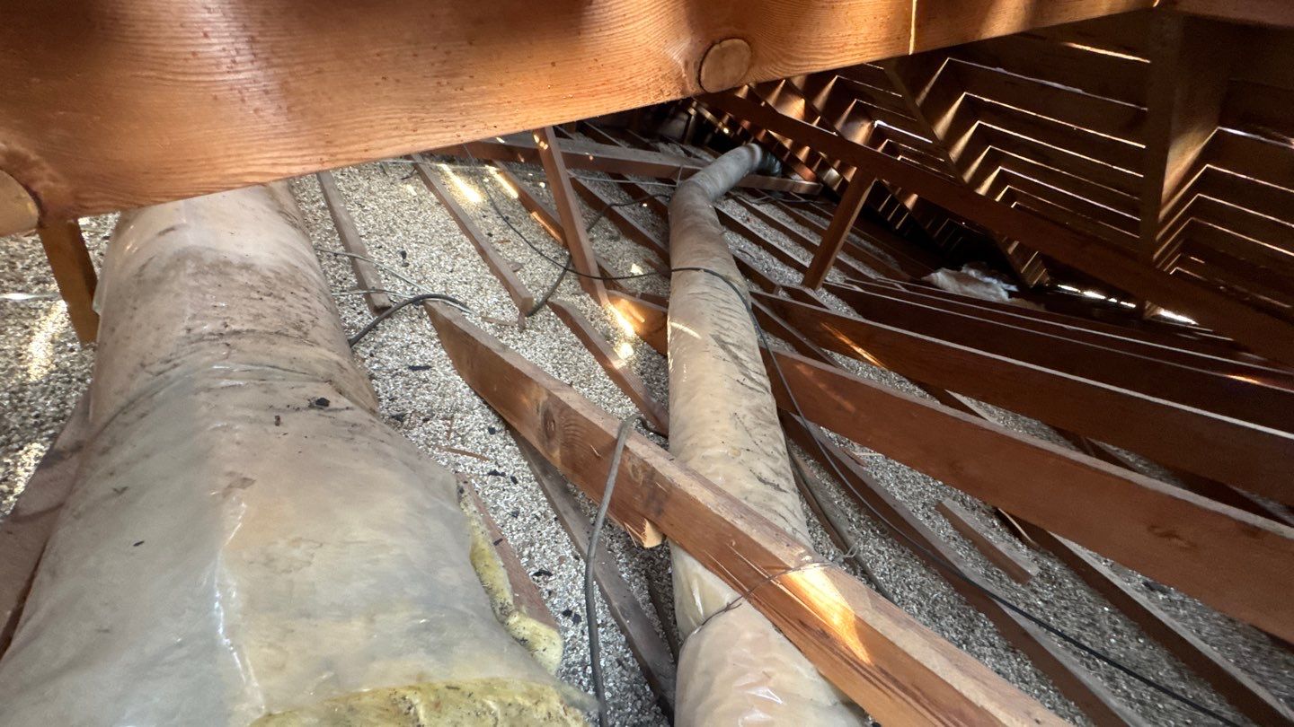 Willa Holmstock by NuLead Construction Inc