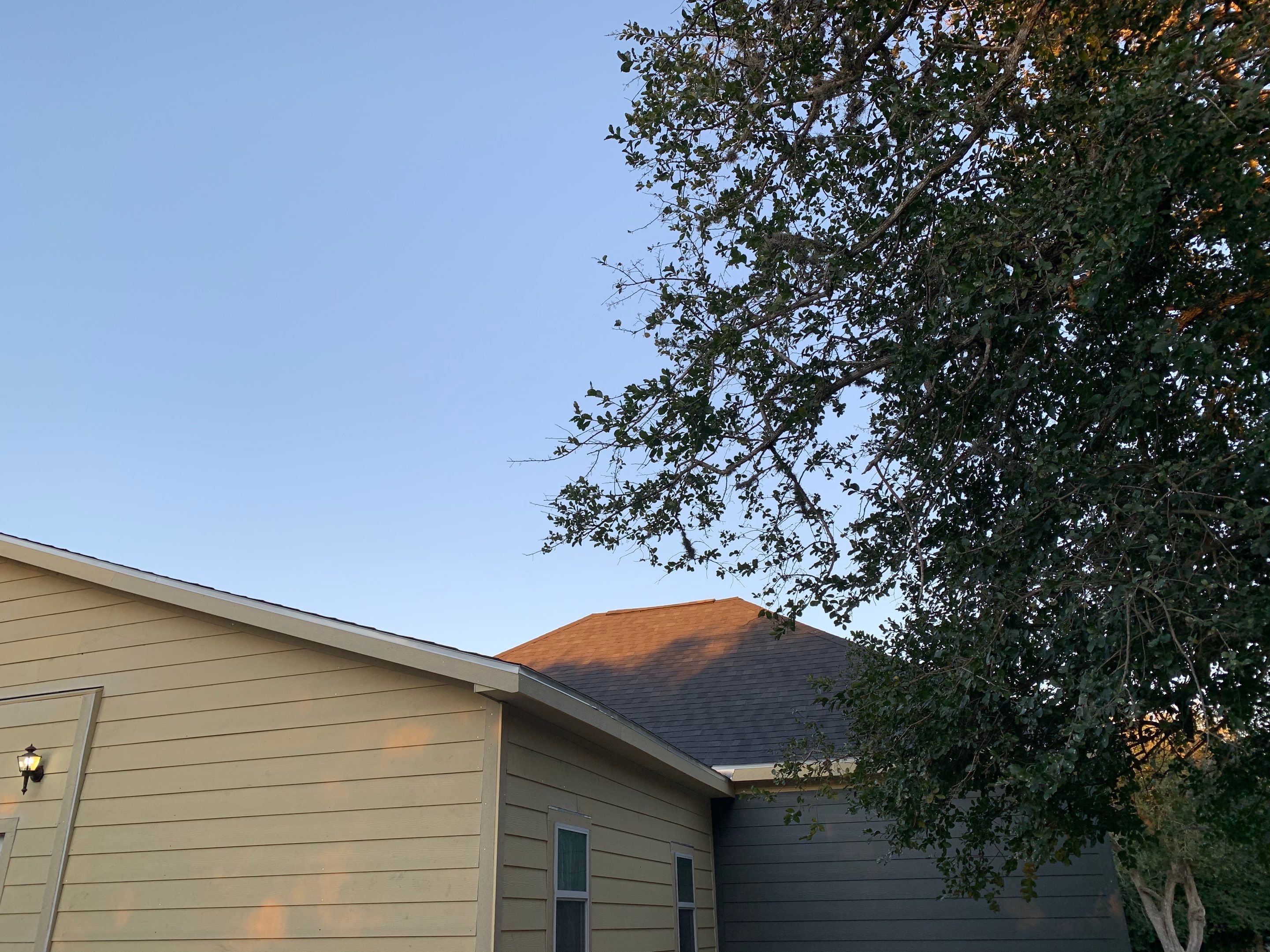 Love Birds Love It by Bayfront Roofing and Construction