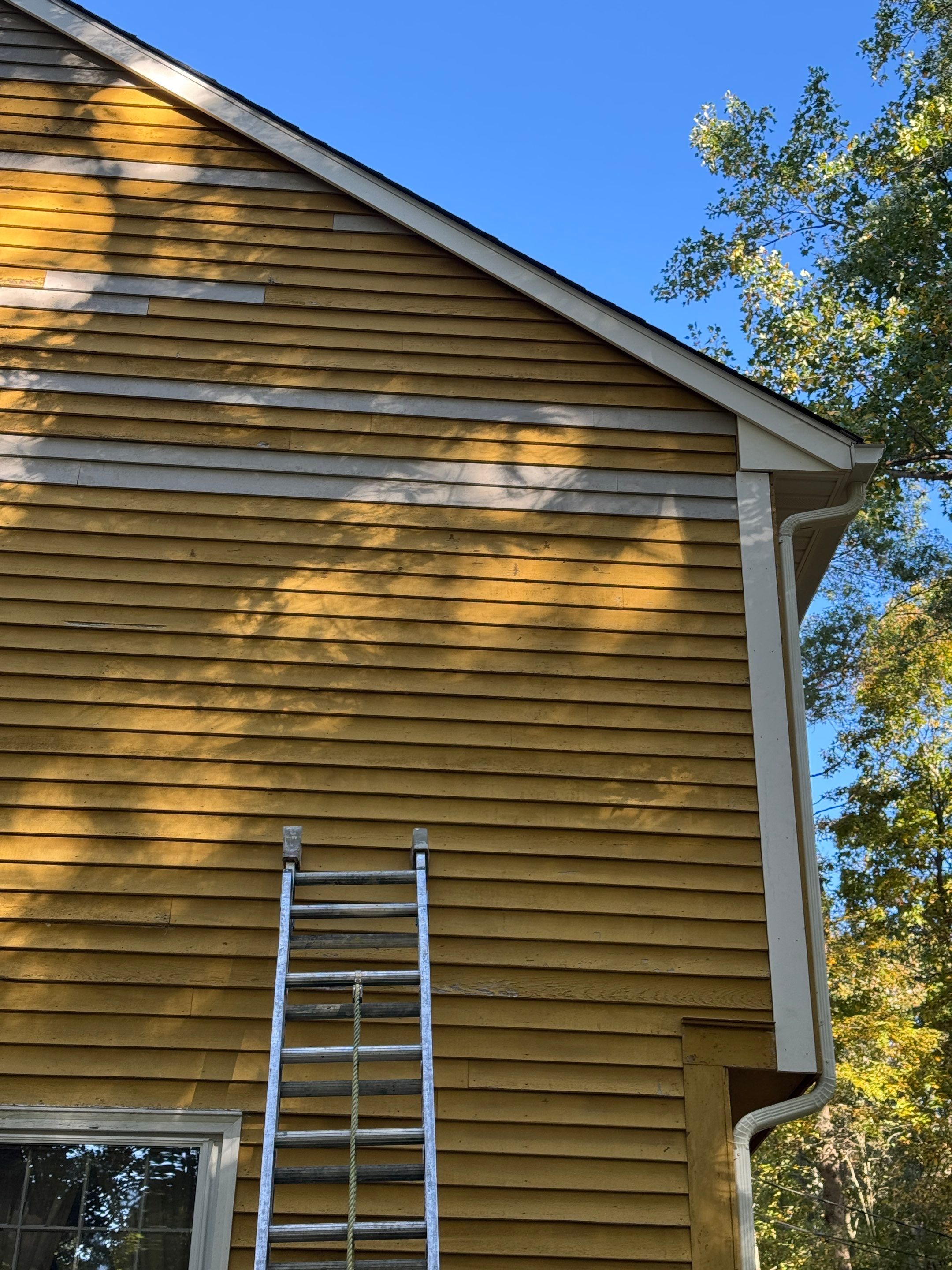 Exterior Staining by Trendy Walls Inc.