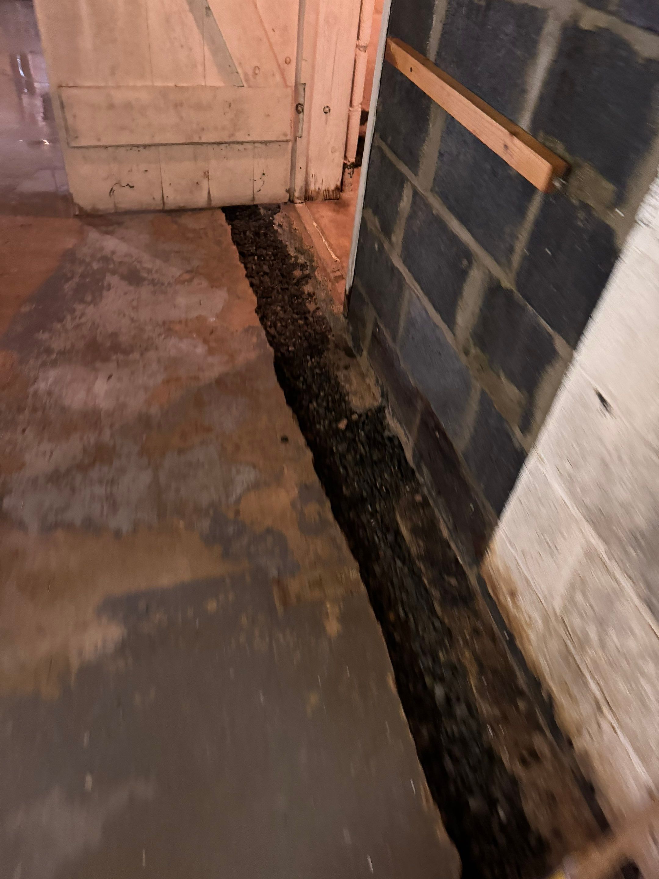 Interior French Drain Washington Township, NJ by Pure Service Pro, LLC 