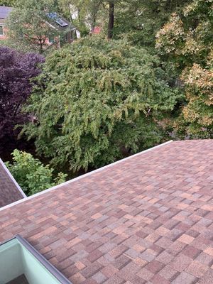 1005 Ellison Street, Falls Church, VA 22046 UNITED STATES