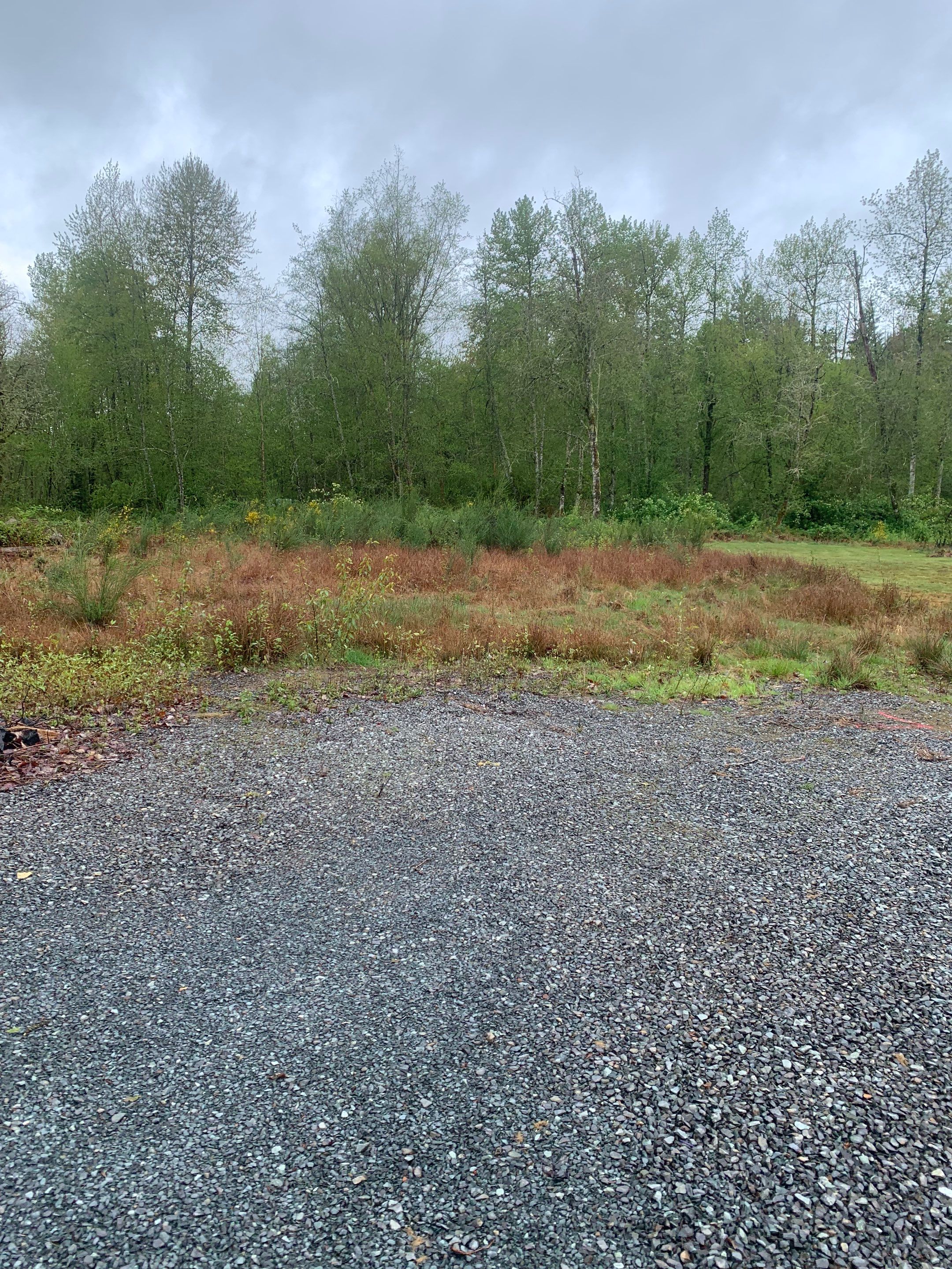 Monolithic Concrete Slab Foundation | Lake Stevens by Jireh Asphalt & Concrete Inc 