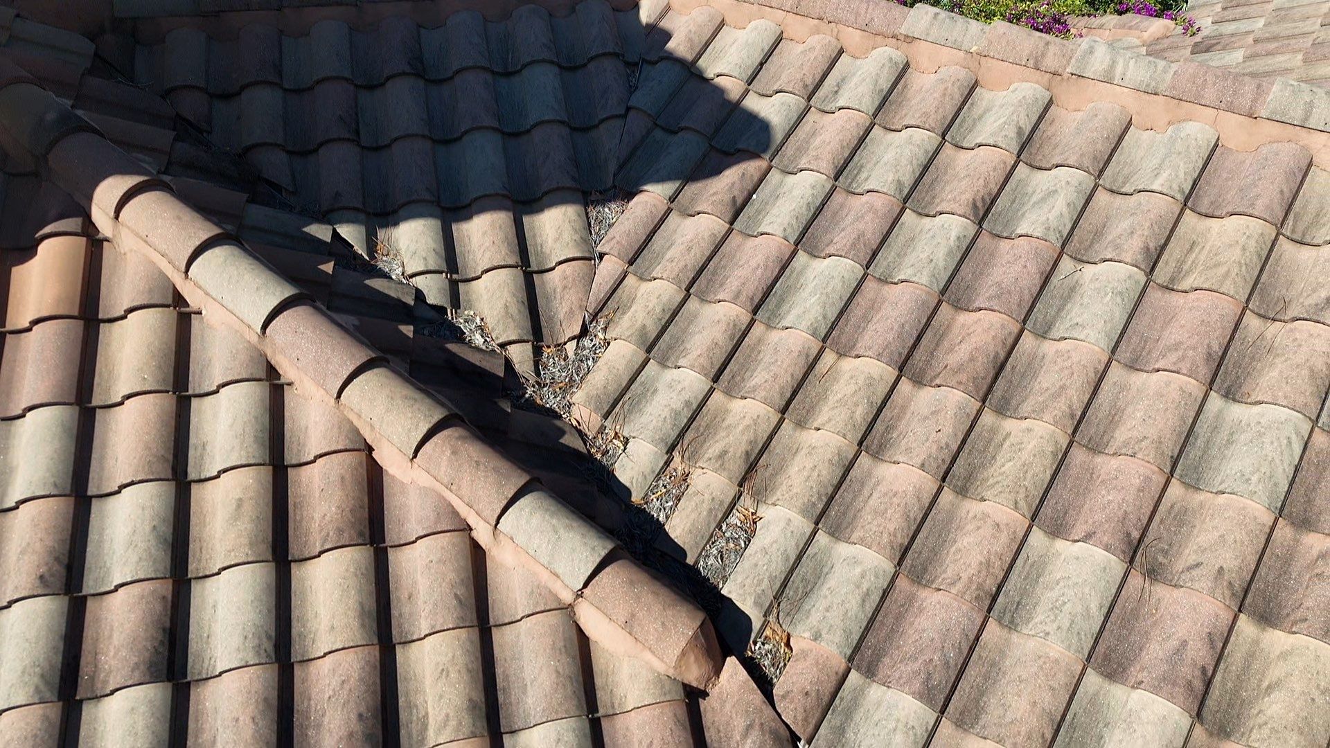 Tile Roof Soft Wash Cleaning by Durabilis Roofing INC