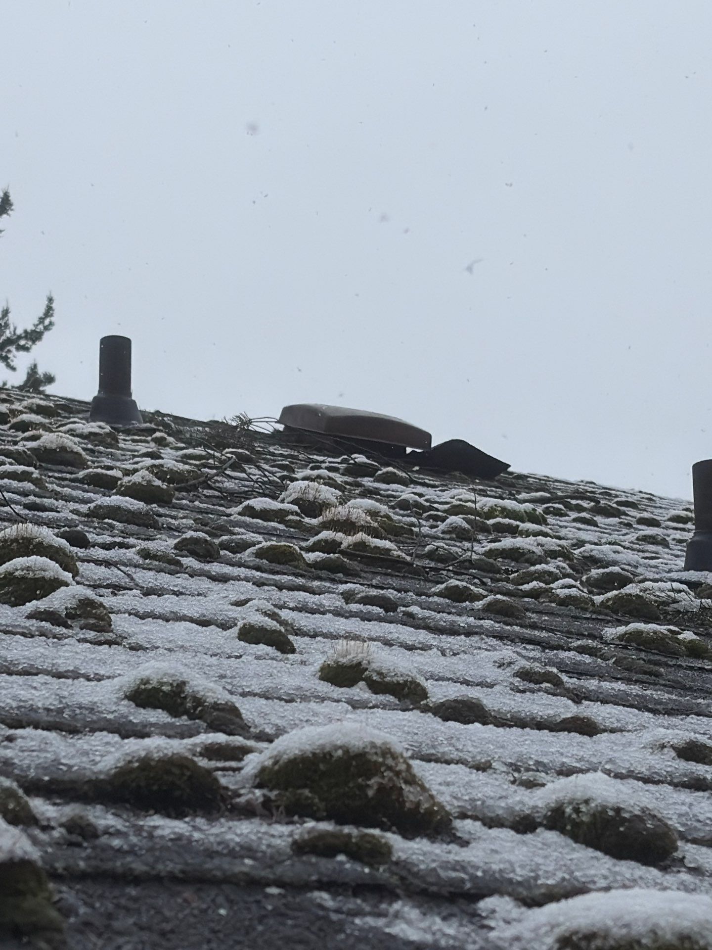 Roof in Lake Stevens by Connolly Construction Company