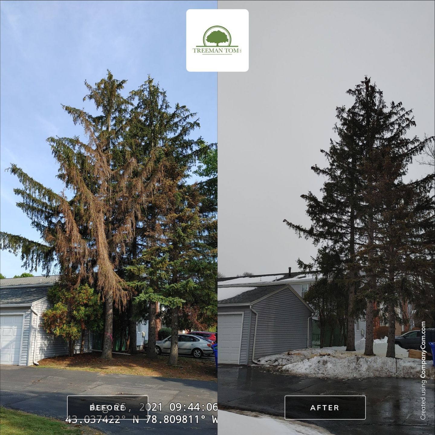 Commercial Project by Treeman Tom LLC