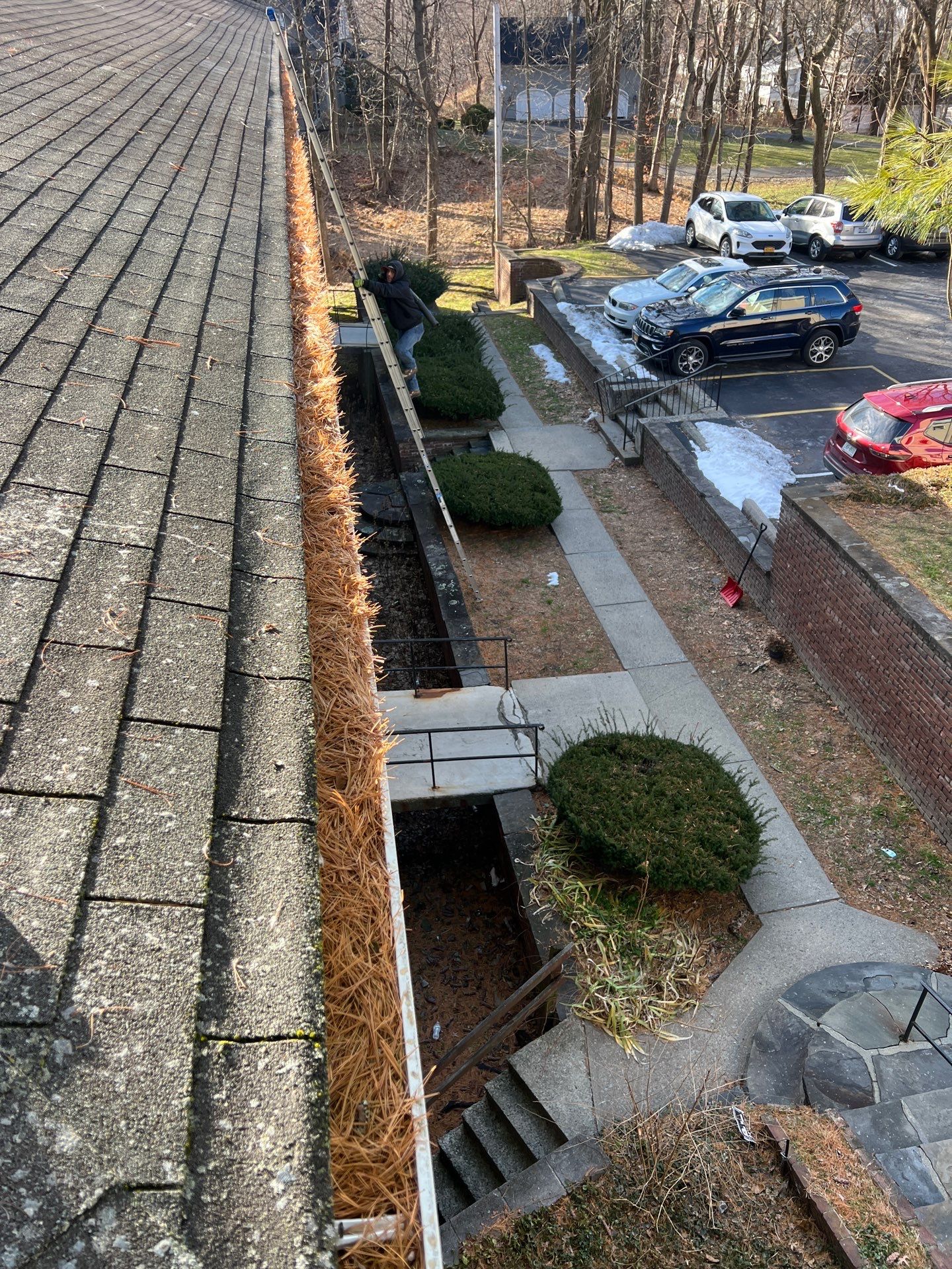 HOA gutter cleaning before