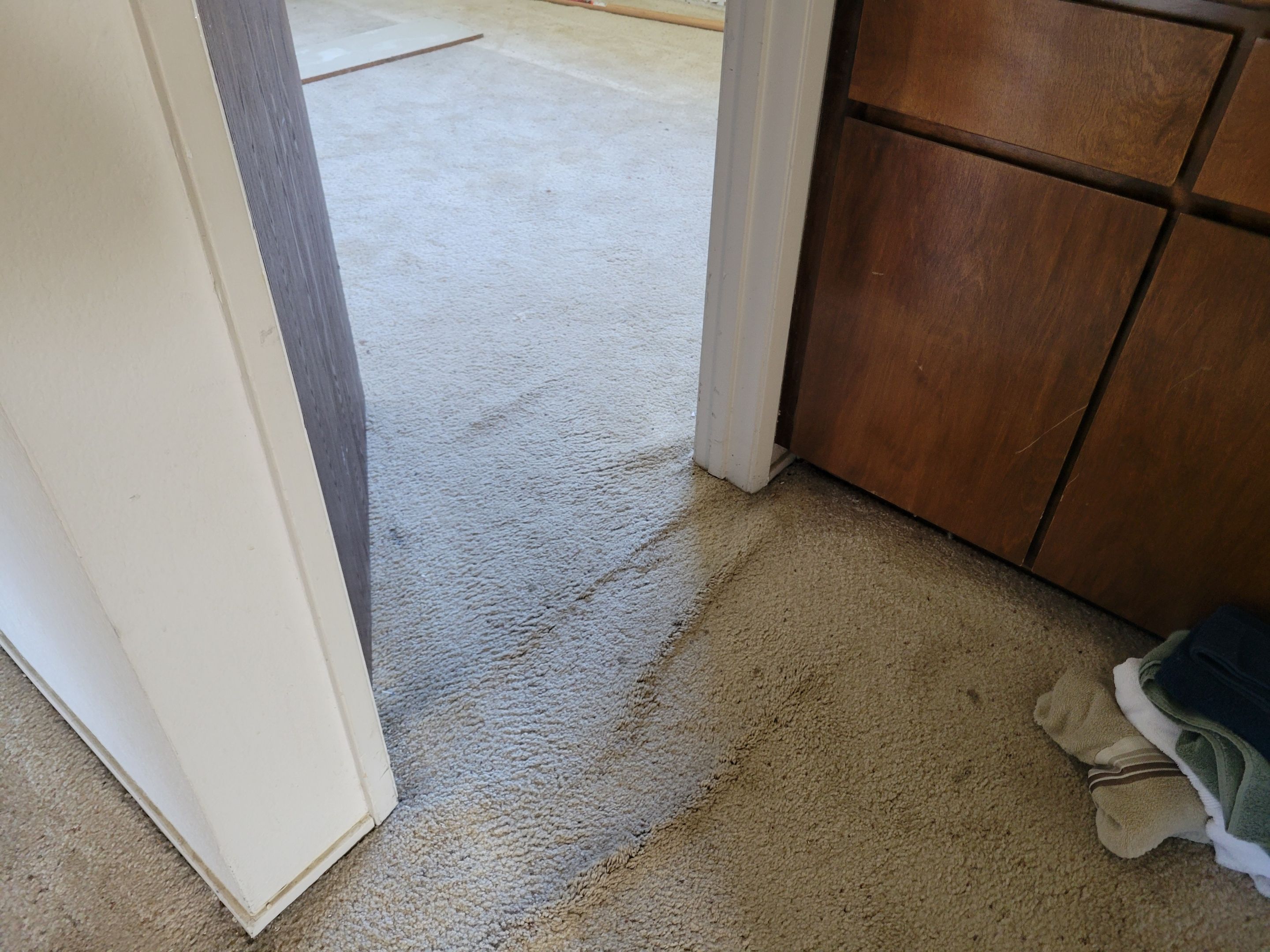 Carpet Re-stretching & Cleaning in Rosemont by Ardent Carpet Restore LLC