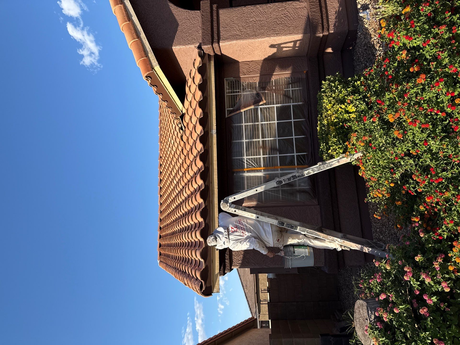 Exterior Painting - Chandler by Crash of Rhinos Painting & Garage Floors