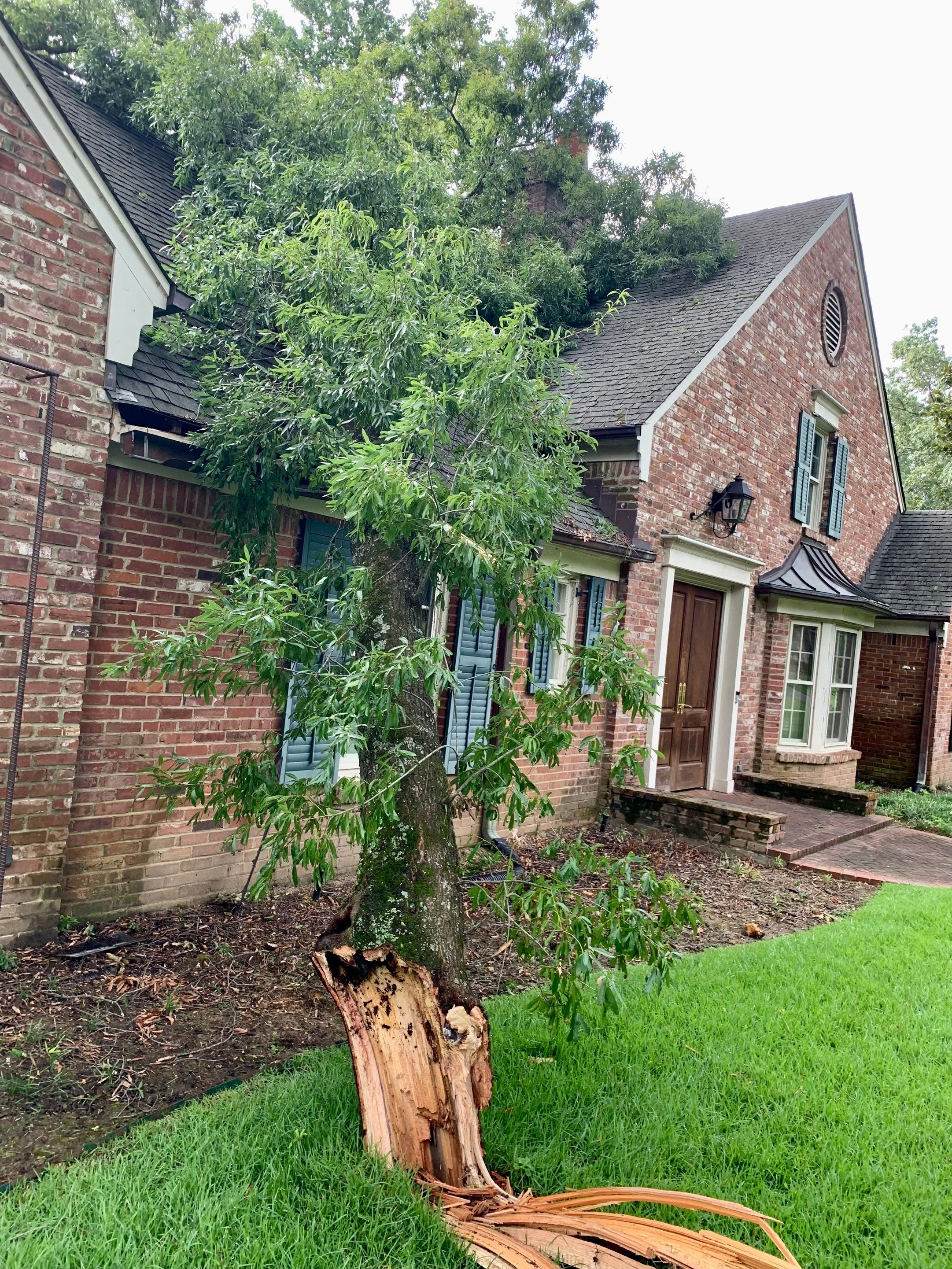 Full Roof Replacement with gutter upgrade after tree impact damage in East Memphis by Revival Roofing Services