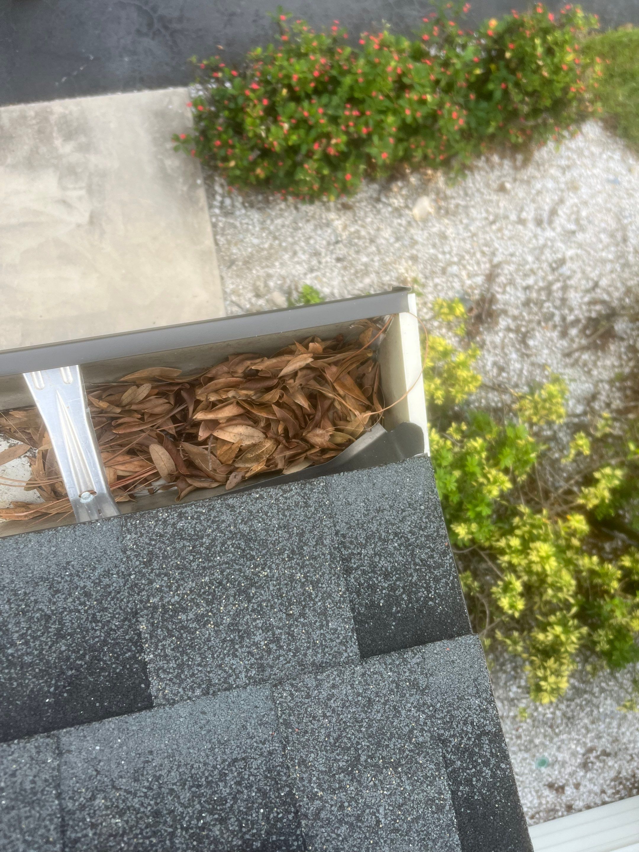 Professional Gutter Cleaning in Fort Myers FL by Gutter Professors
