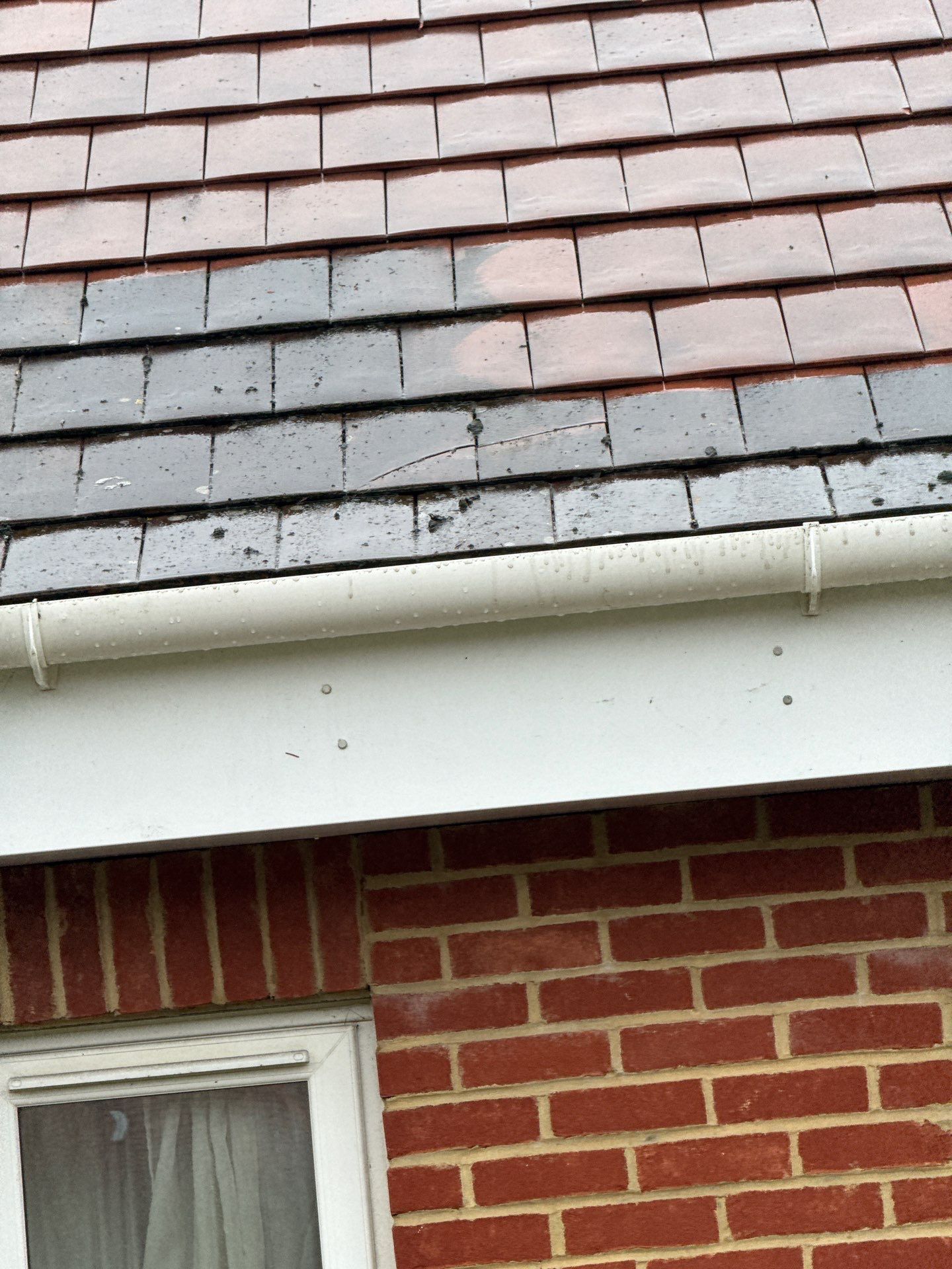 Large Care Home Roof Clean using Mosmatic FSC and Biocide by Ges Exterior Cleaning ltd