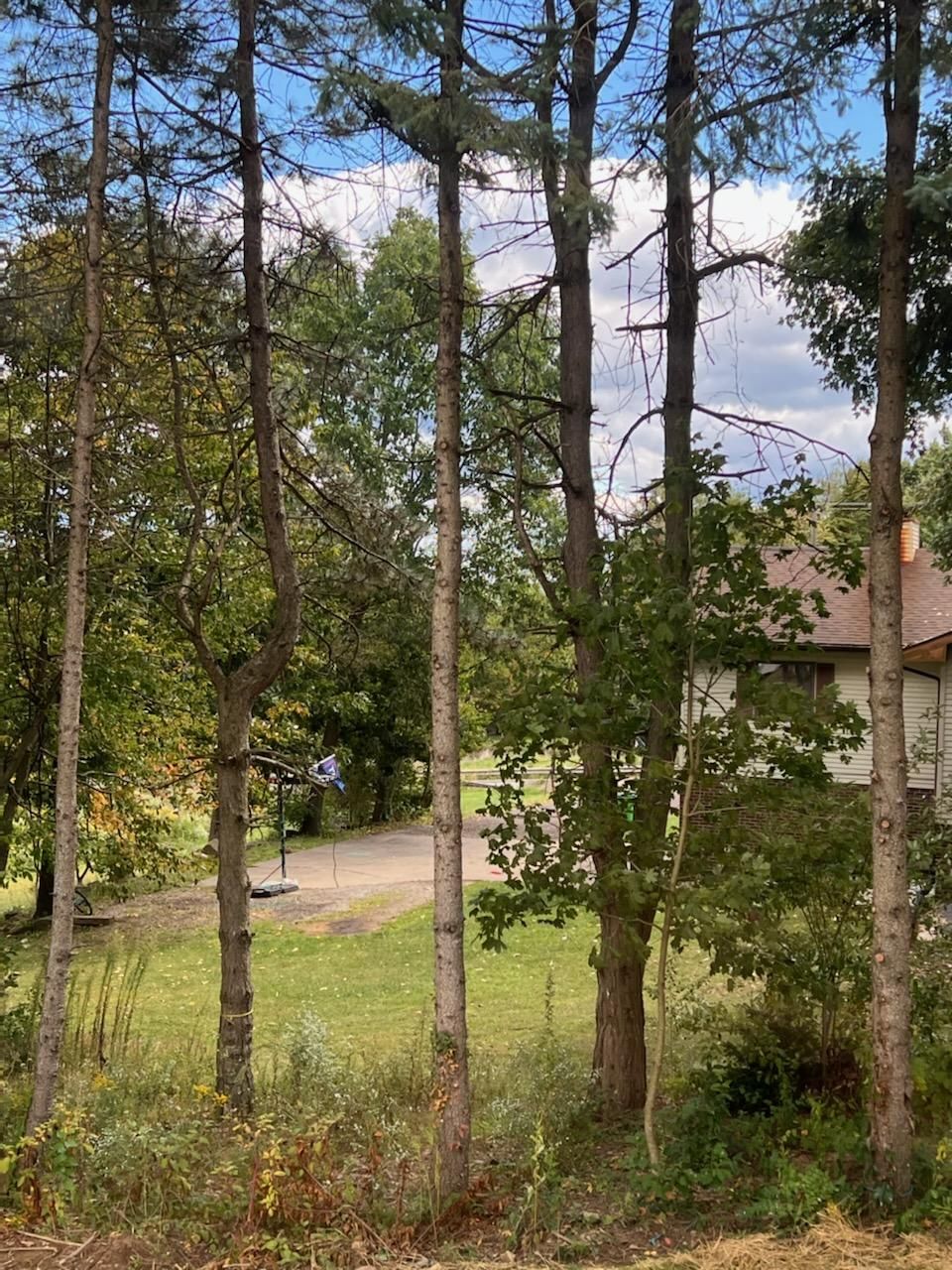 Tree Removal using Tree Removal by Mike Jones & Sons Tree Service LLC 