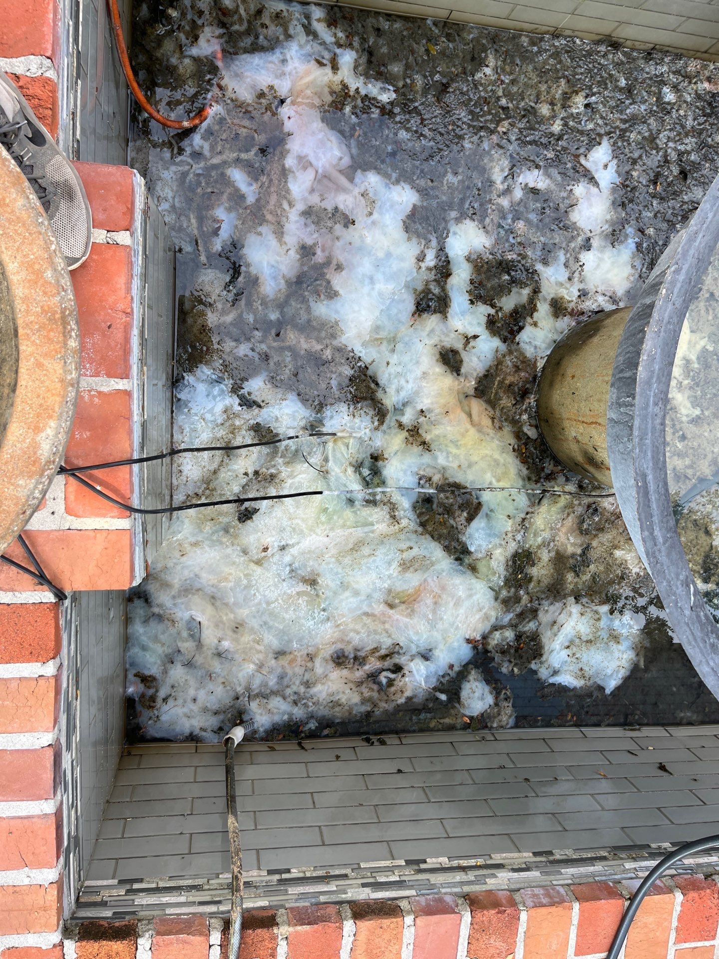 Pool Cleaning using Pool Cleaner by College Bros Outdoor services