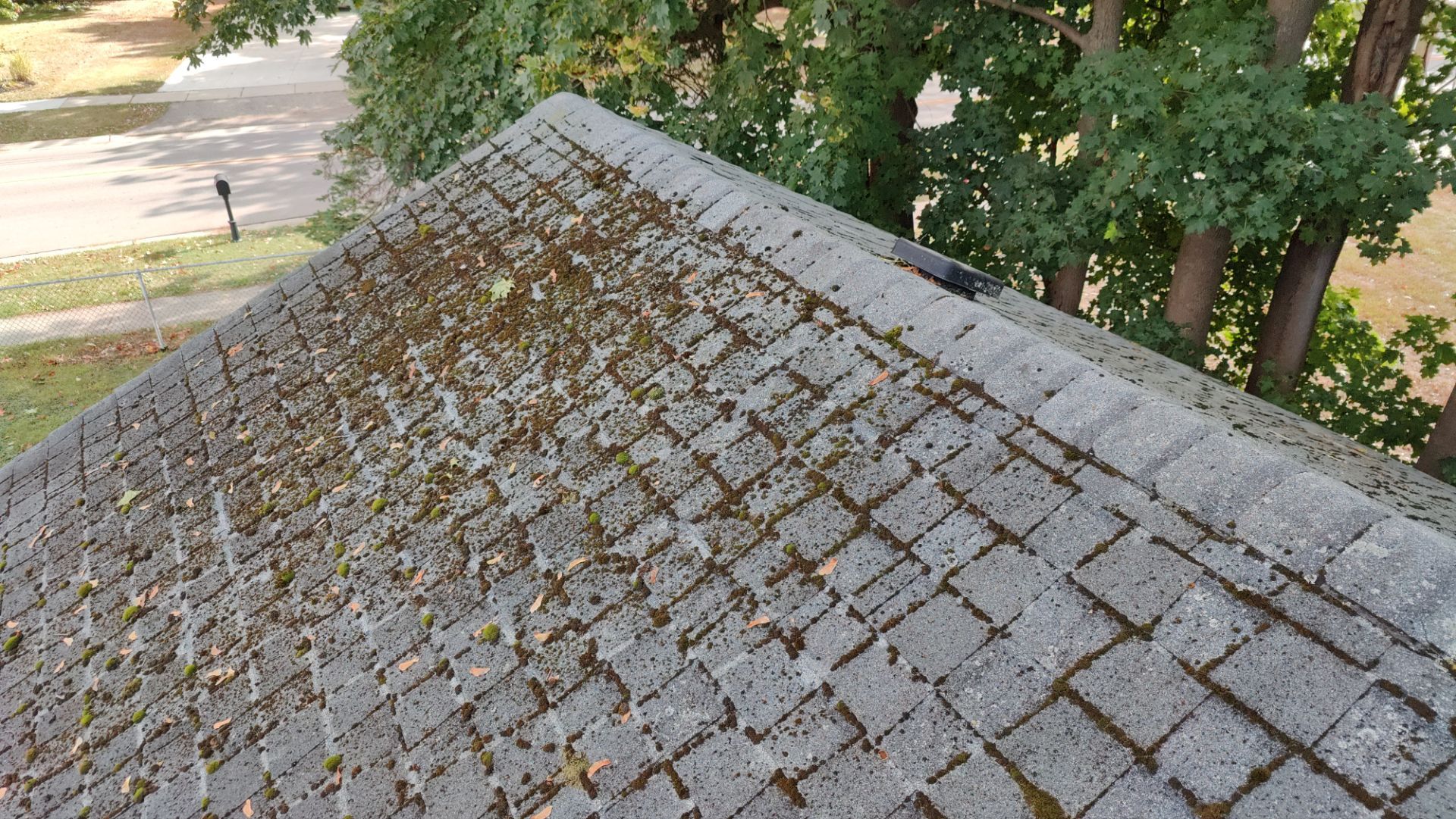 Roof Replacement using Owens Corning Midnight Plum by 180 Contractors