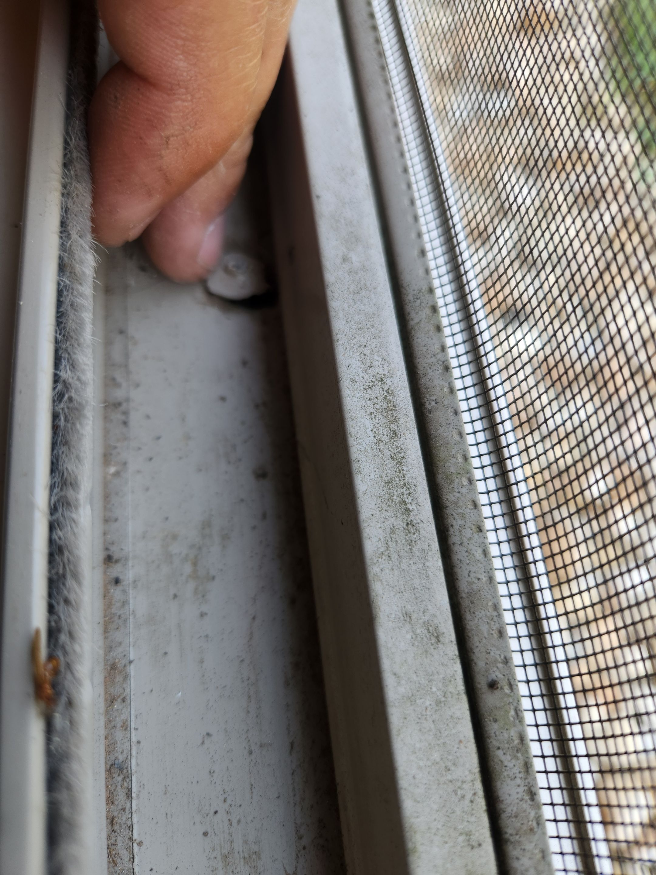 Window Seal Remediation and Siding Repair in Twin Lake Hills Dripping Springs by RejuveNate Renovations LLC