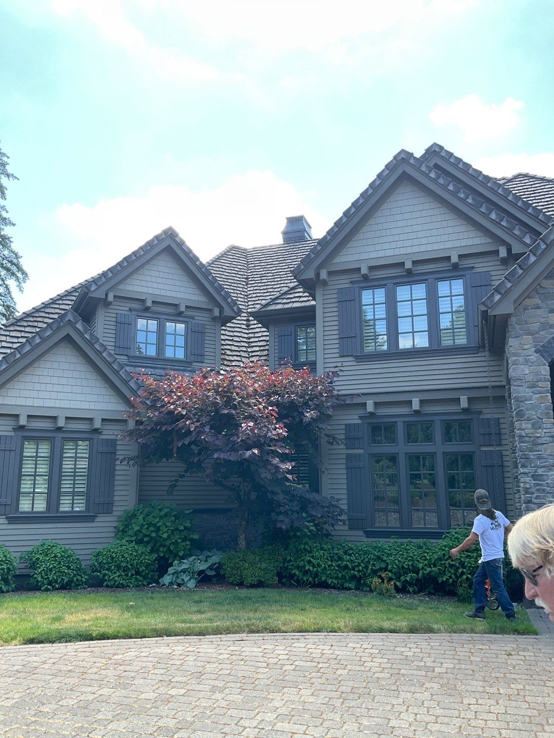 Moss Removal/ Treatment using Biocide by Willamette Outdoor Wash LLC