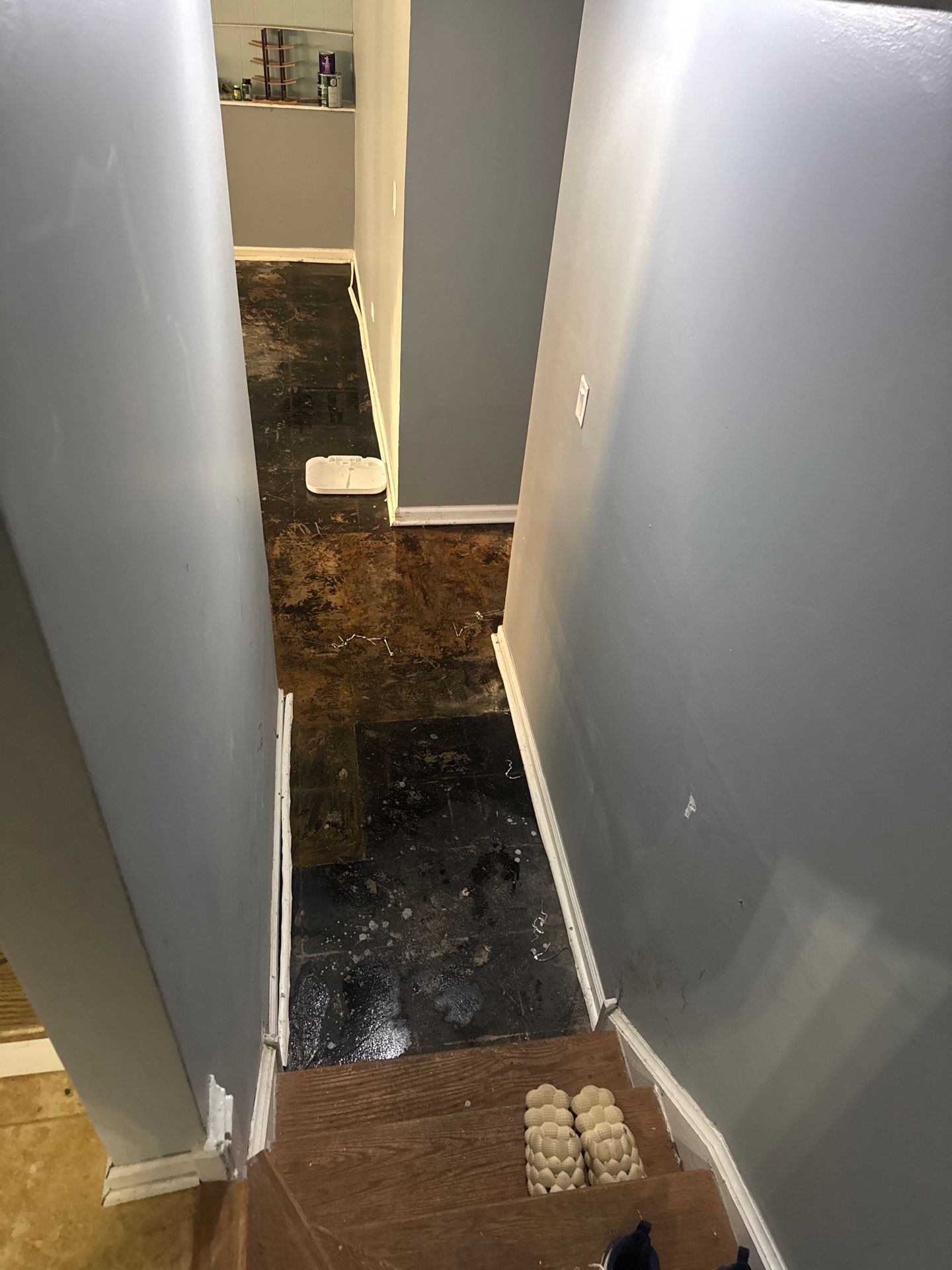 Sewer Drain Back in Basement by Chicagoland Water Medics