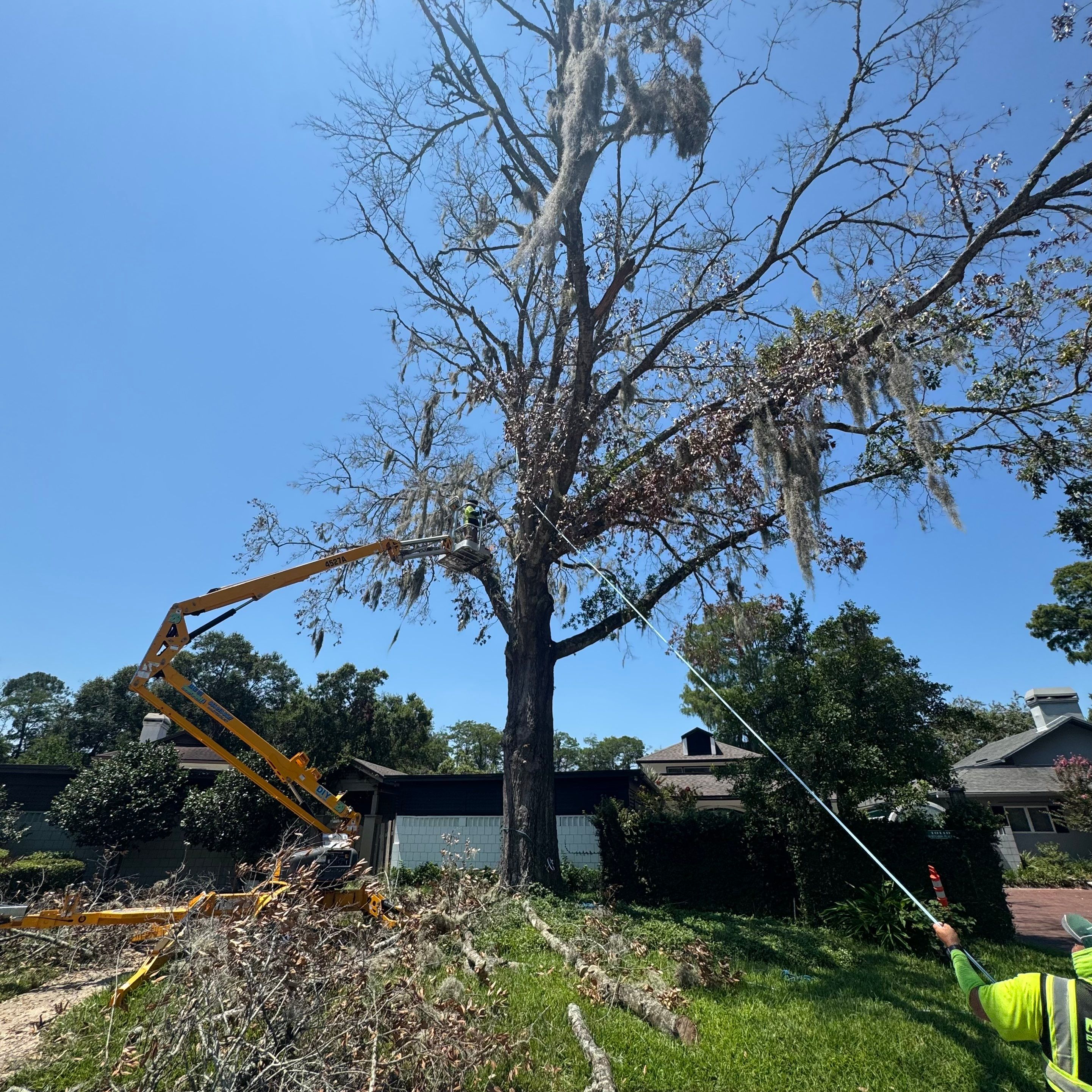 Deerwood Resident | Tree Removal by ProGreen Services