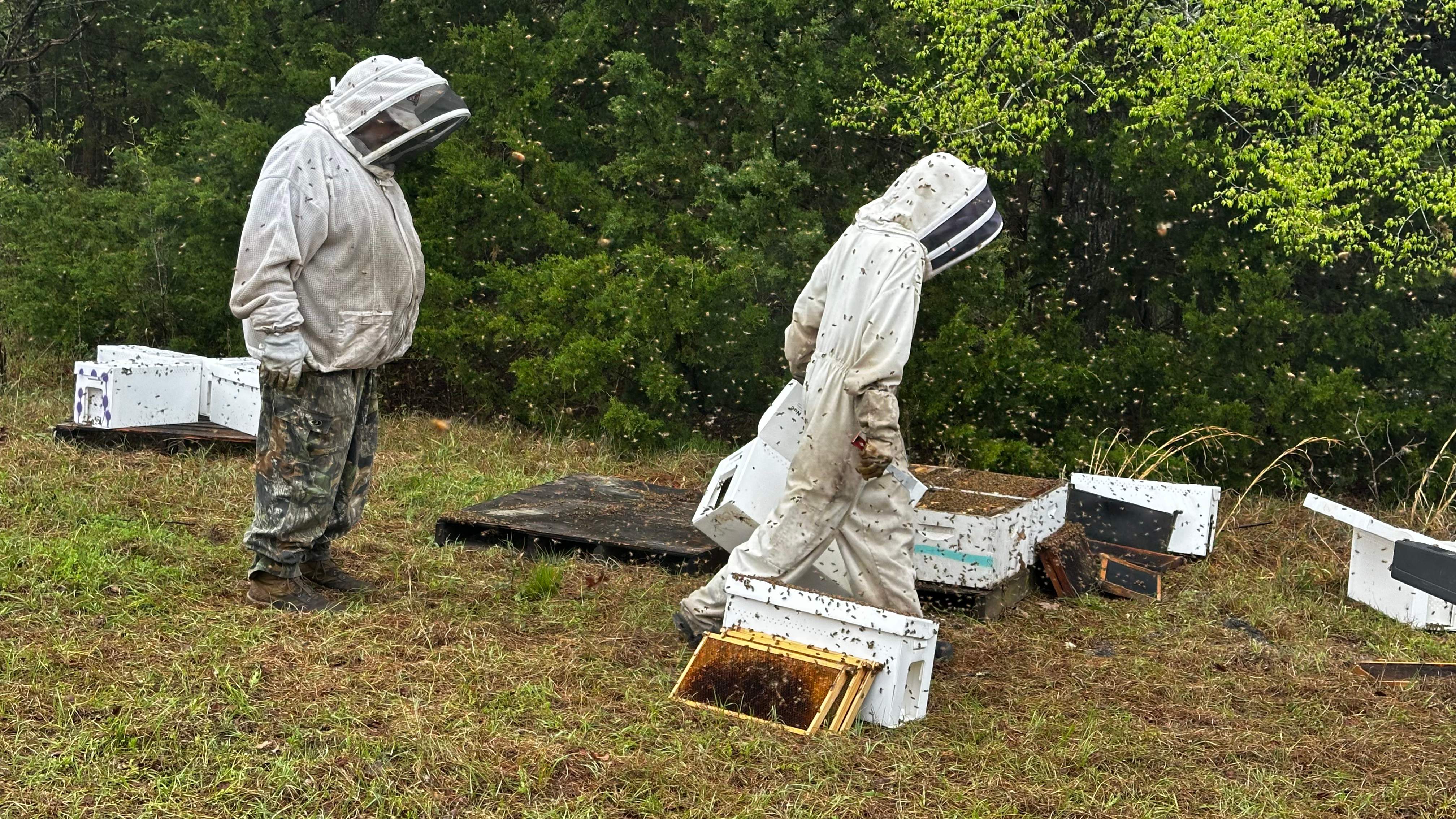 BeeGirl ETX HQ by Rockwall Honey Bee Company