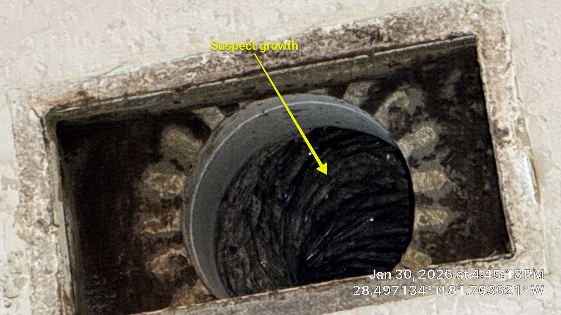Air Duct Cleaning in Clermont by Hygienic Air, Inc