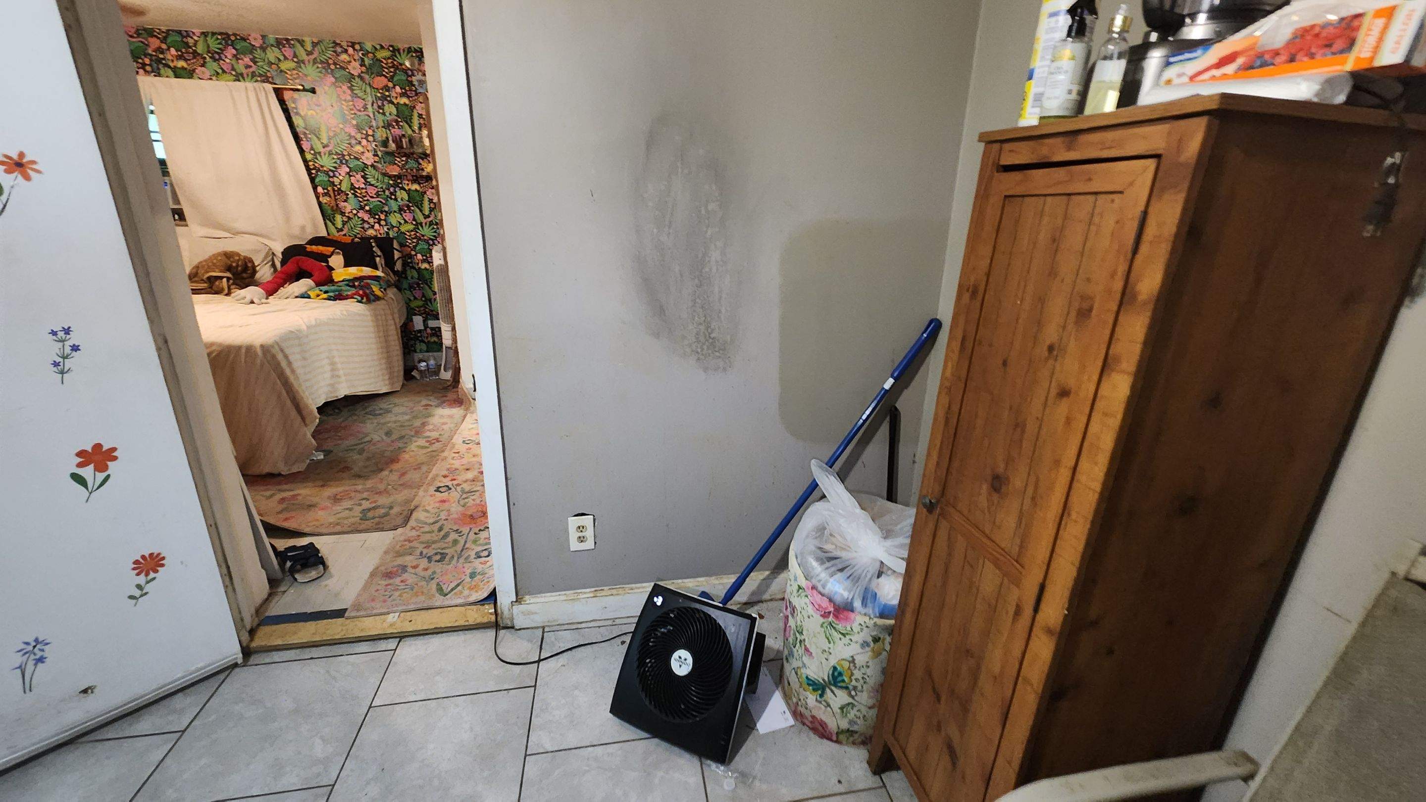 Tree Damage Claim in Orlando by FLAPA & KeyStone