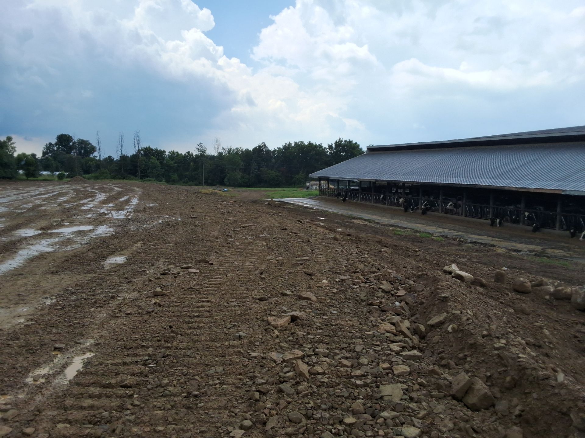 Sterlin Heights Dairy project by Avodah Contractors