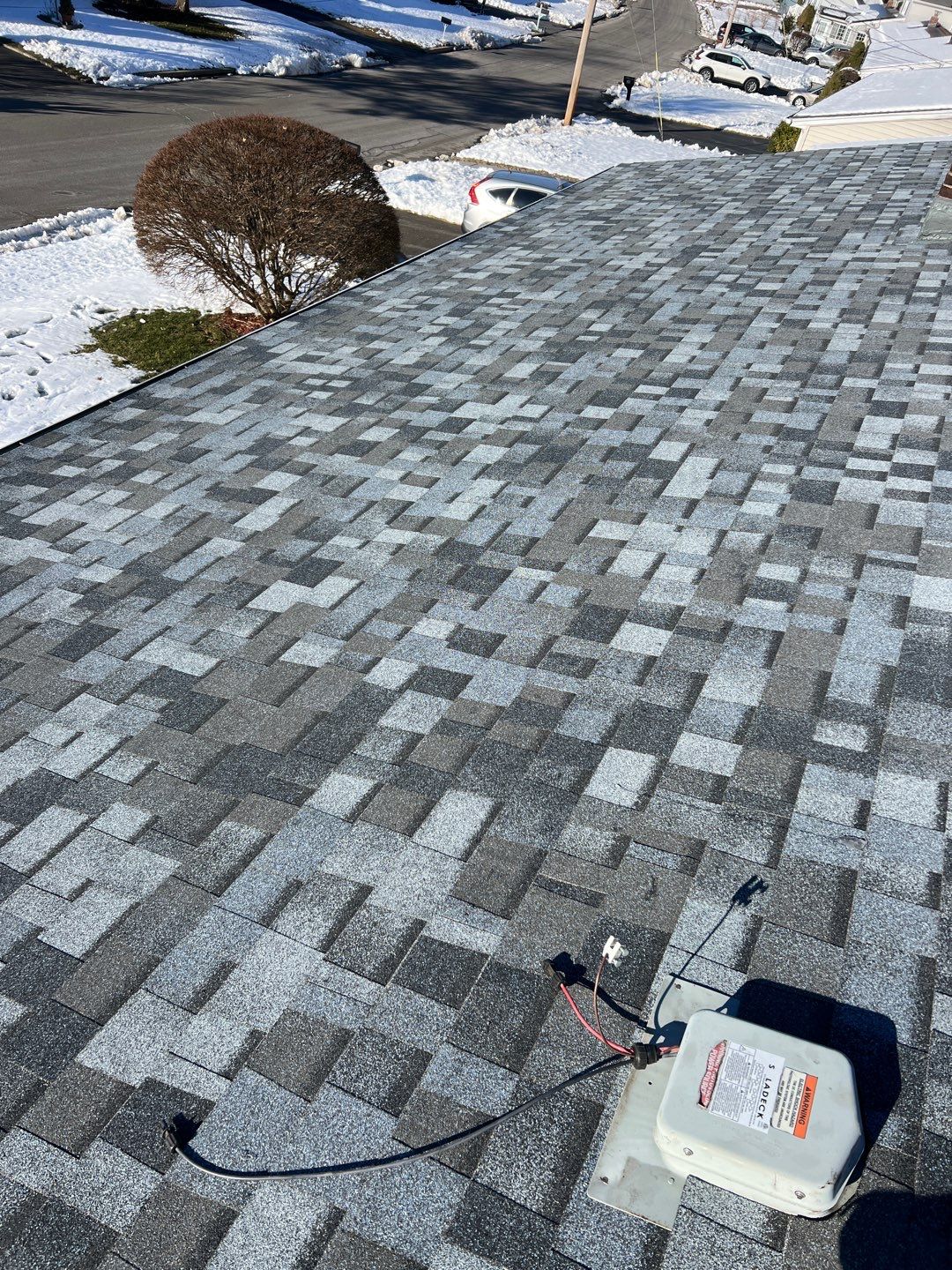 Silver Birch Shingles by Reimagine Roofing