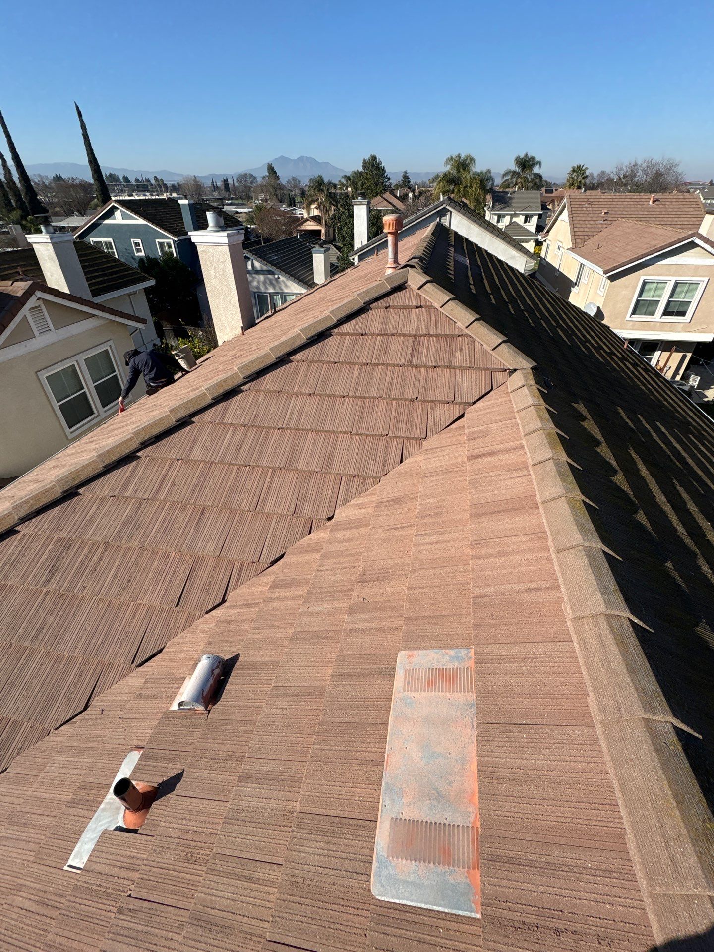 Moss Removal by Top Elevation