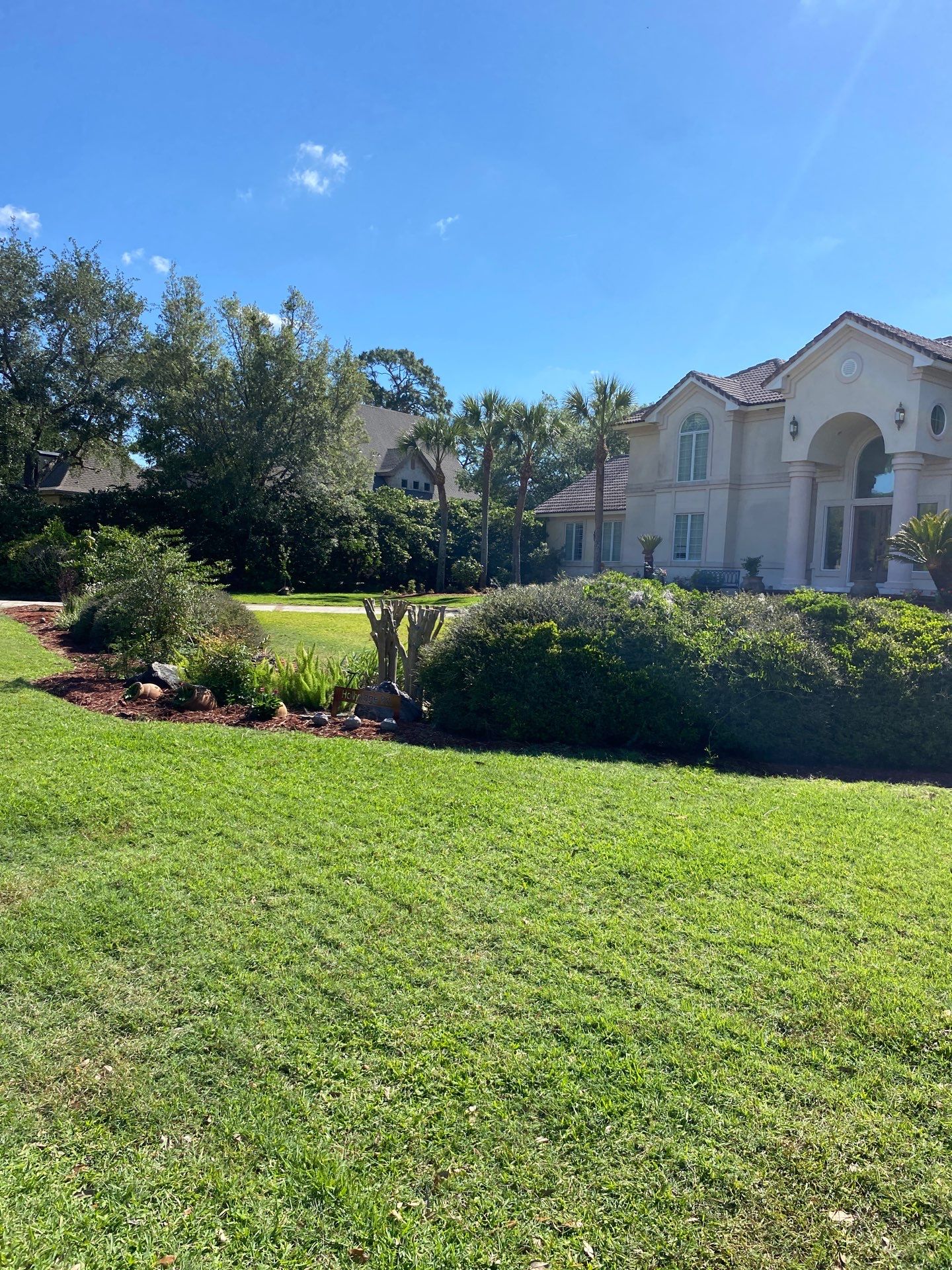 Deerwood Resident | Palm Tree Trimming & Clean-Up by ProGreen Services